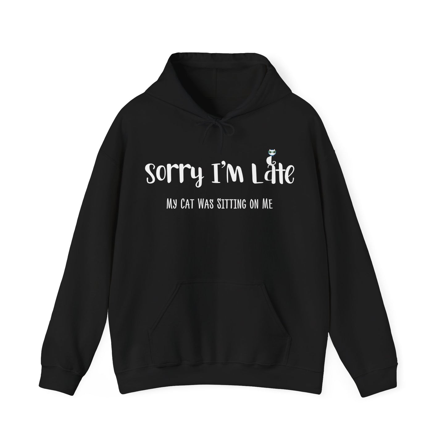 My Cat Was Sitting On Me Hoodie