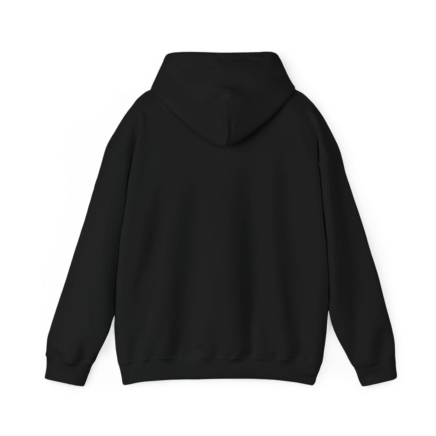 My Cat Was Sitting On Me Hoodie