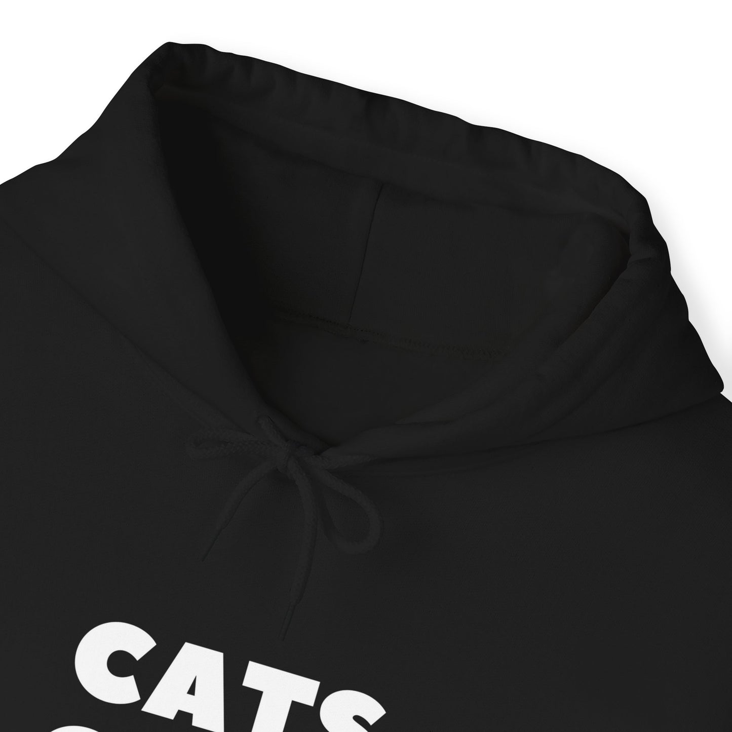 Black Cats Over Brats Hooded Sweatshirt Unisex