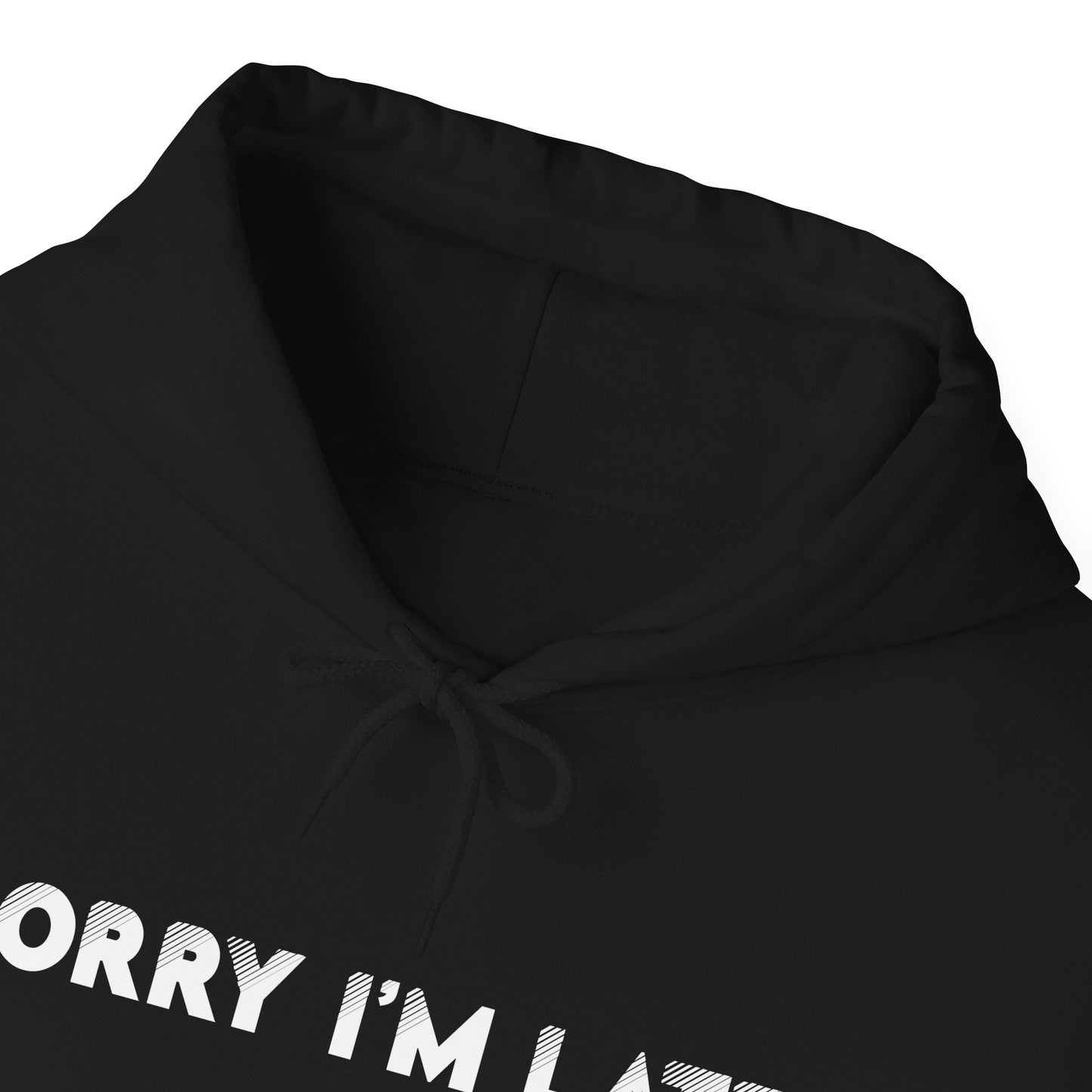 Black I Saw A Cat Hooded Sweatshirt Unisex
