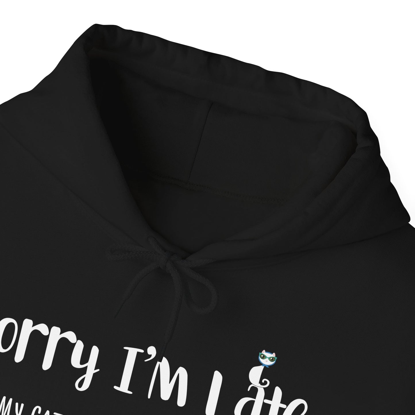 Black My_Cat_Was_Sitting_On_Me_Unisex_Hooded_Sweatshirt