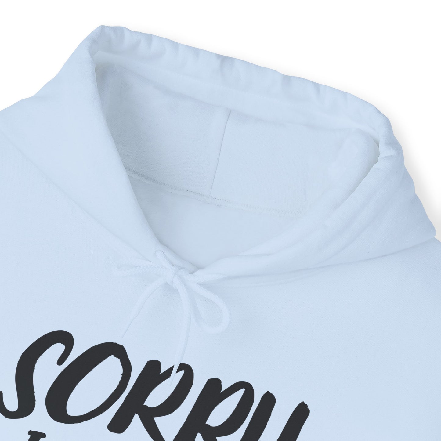 Pale Blue Feed My Cat Hooded Sweatshirt Unisex