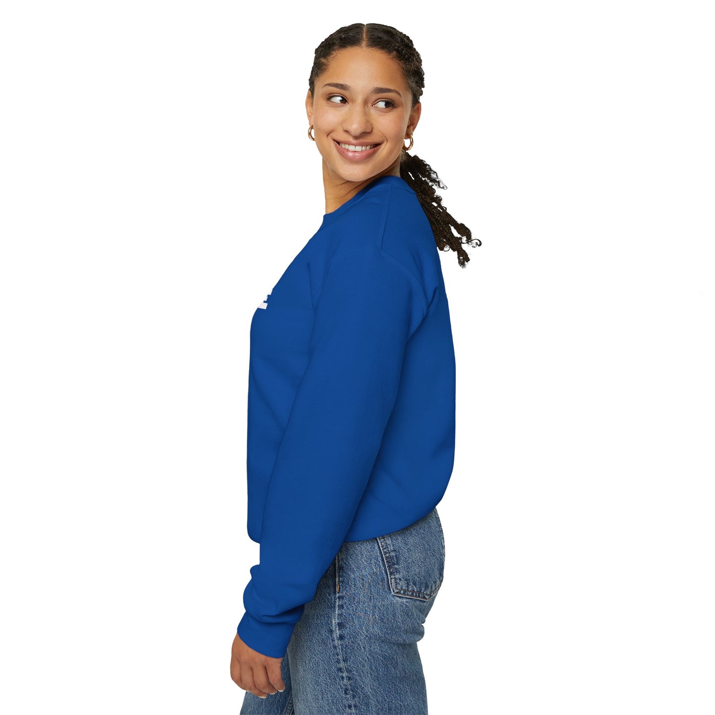 Royal Blue I Saw A Cat sweatshirt Unisex Crewneck