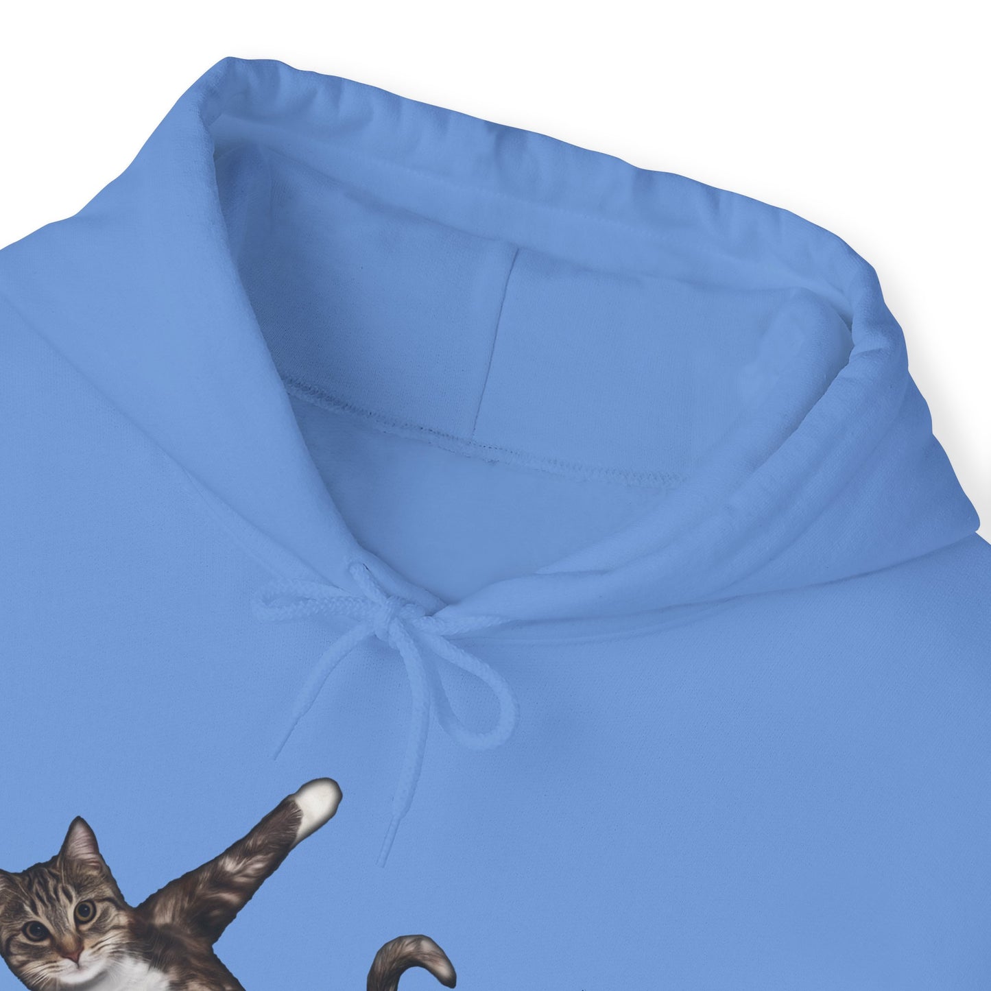 Carolina Blue Yoga Pose Cat Themed Hooded Sweater Unisex