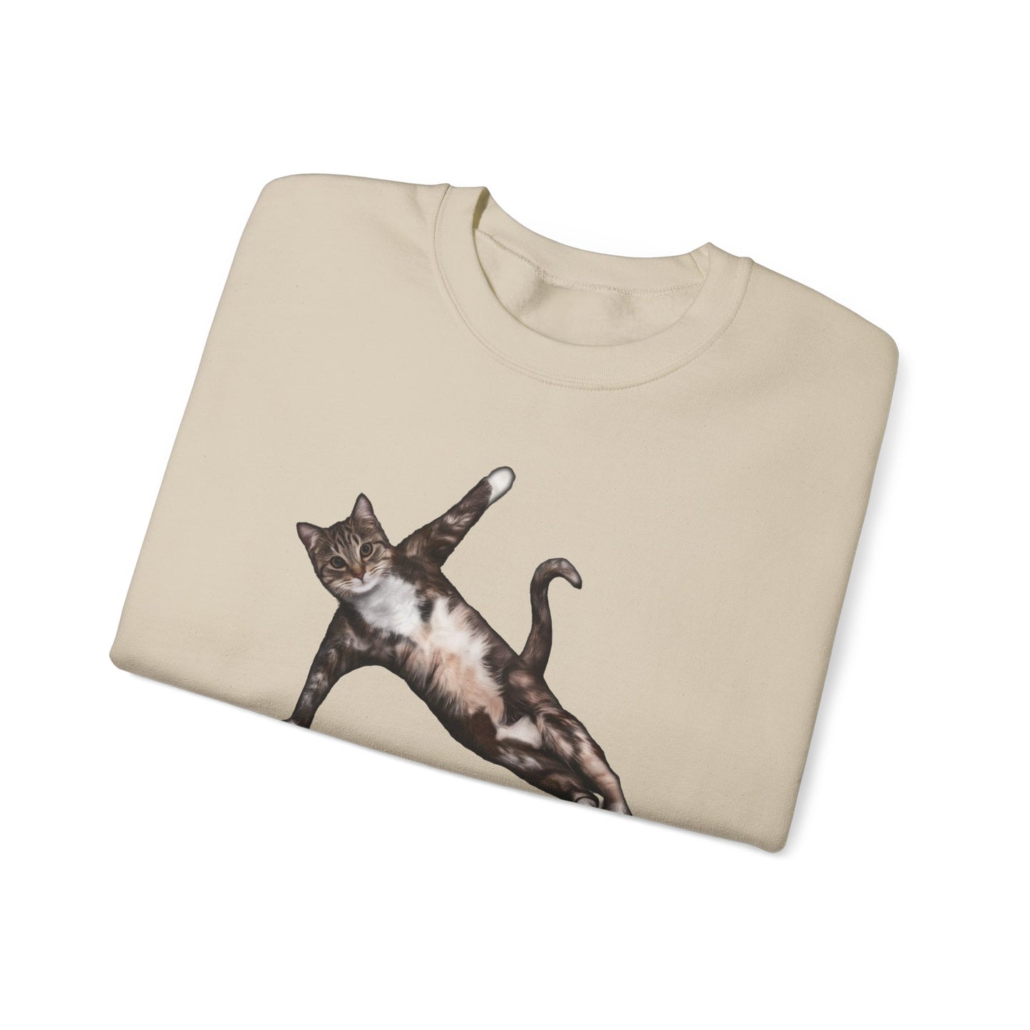 Sand Yoga Pose cat themed unisex sweatshirt