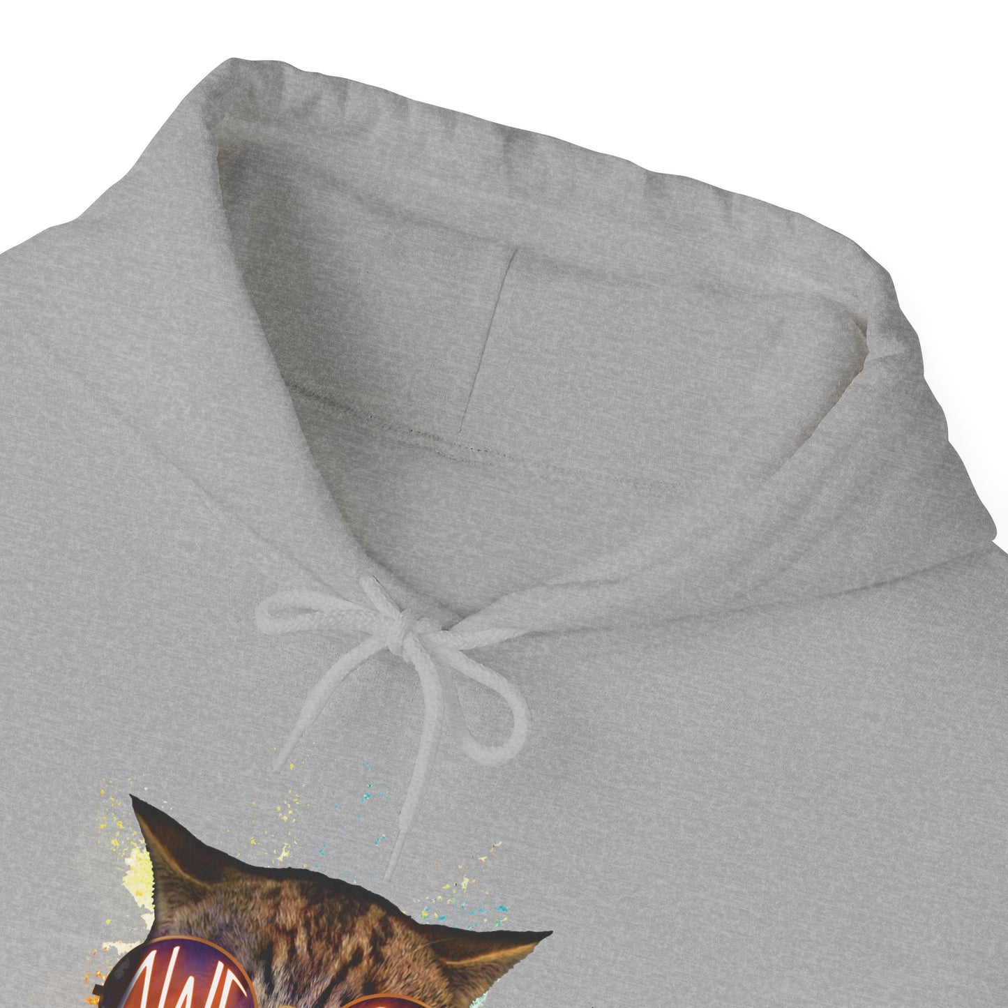 Oyster Awesome Cat Themed Hooded Sweatshirt Unisex