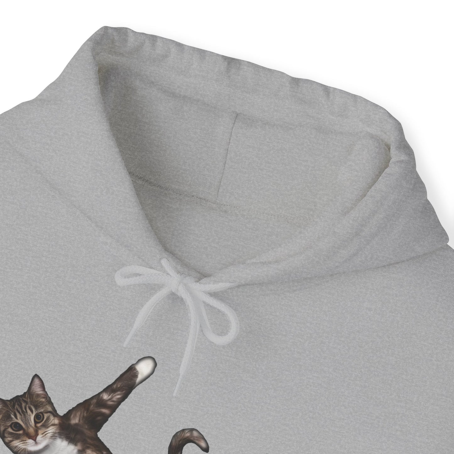 Oyster Yoga Pose Cat Themed Hooded Sweater Unisex