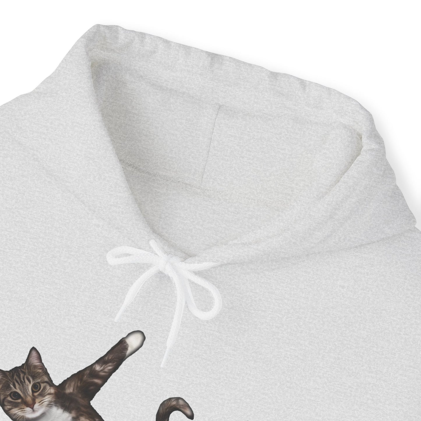 Ash Yoga Pose Cat Themed Hooded Sweater Unisex
