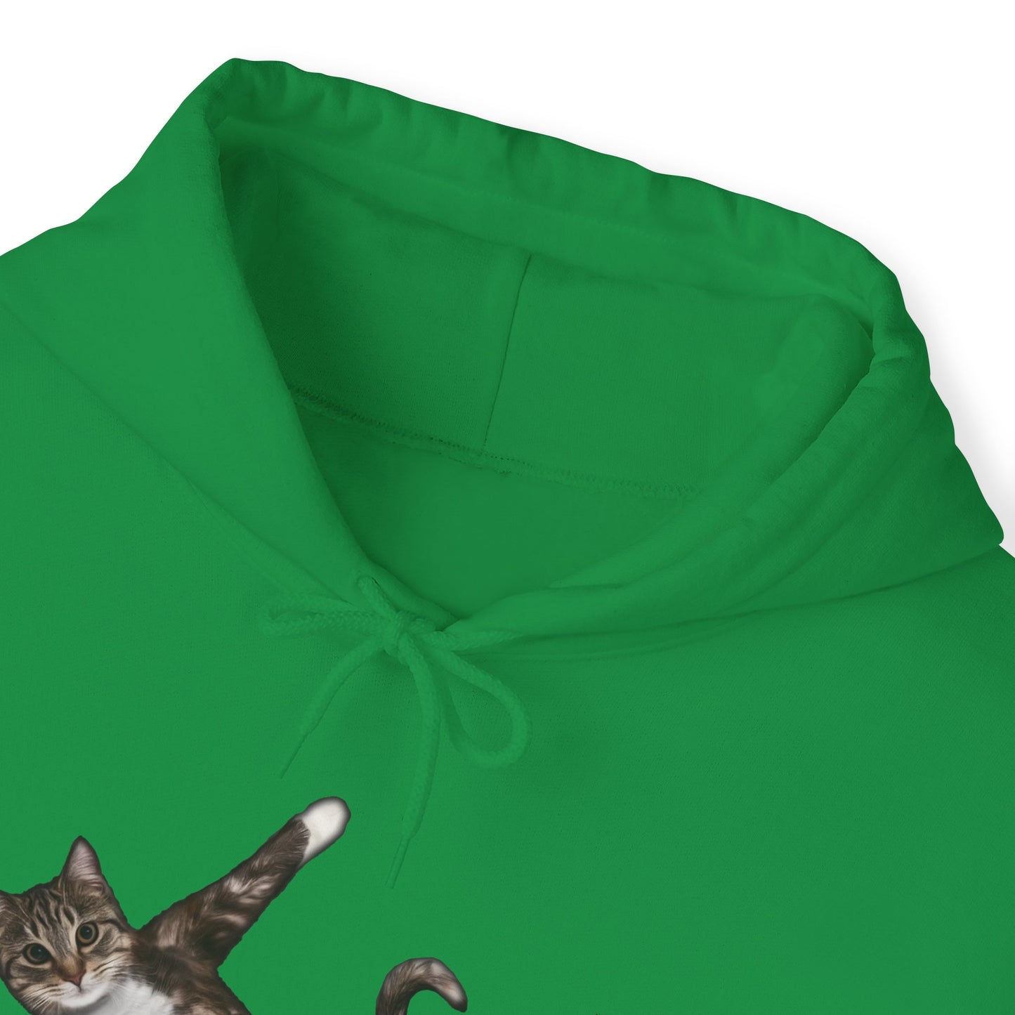 Green Yoga Pose Cat Themed Hooded Sweater Unisex