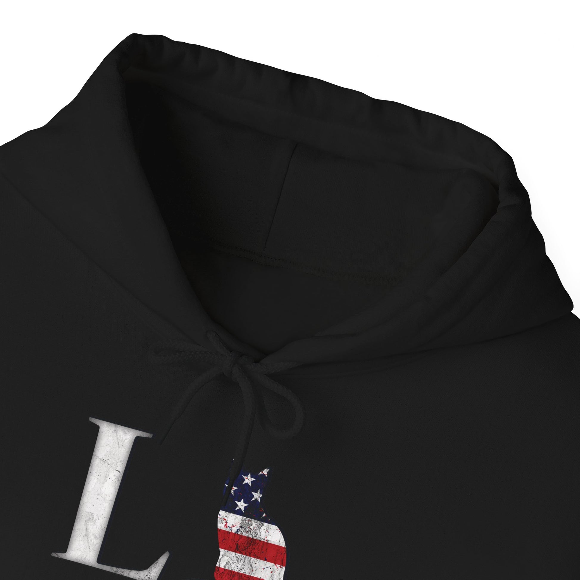 Black Cat Themed Love USA Hooded Sweatshirt Unisex