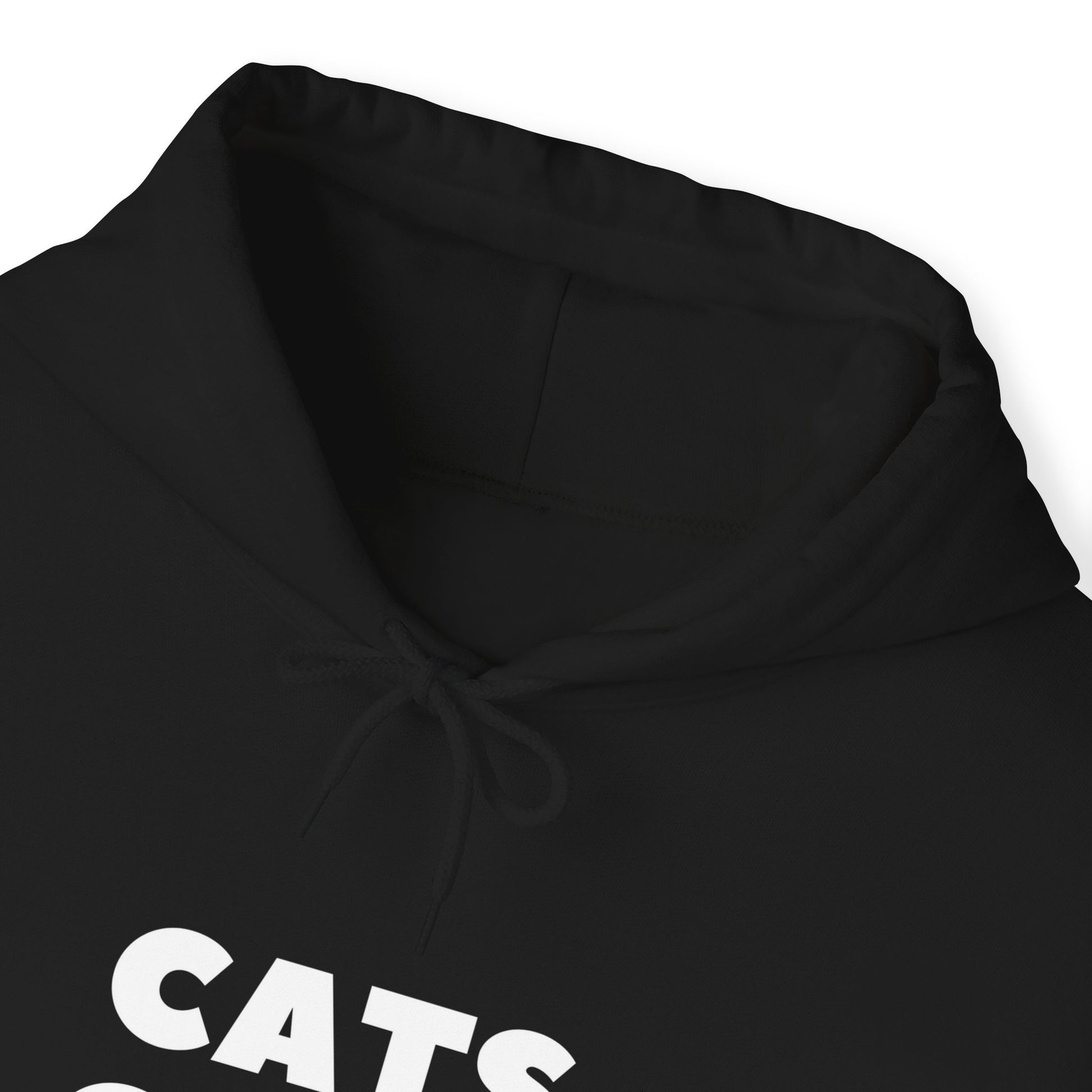 Black Cats Over Brats Hooded Sweatshirt Unisex