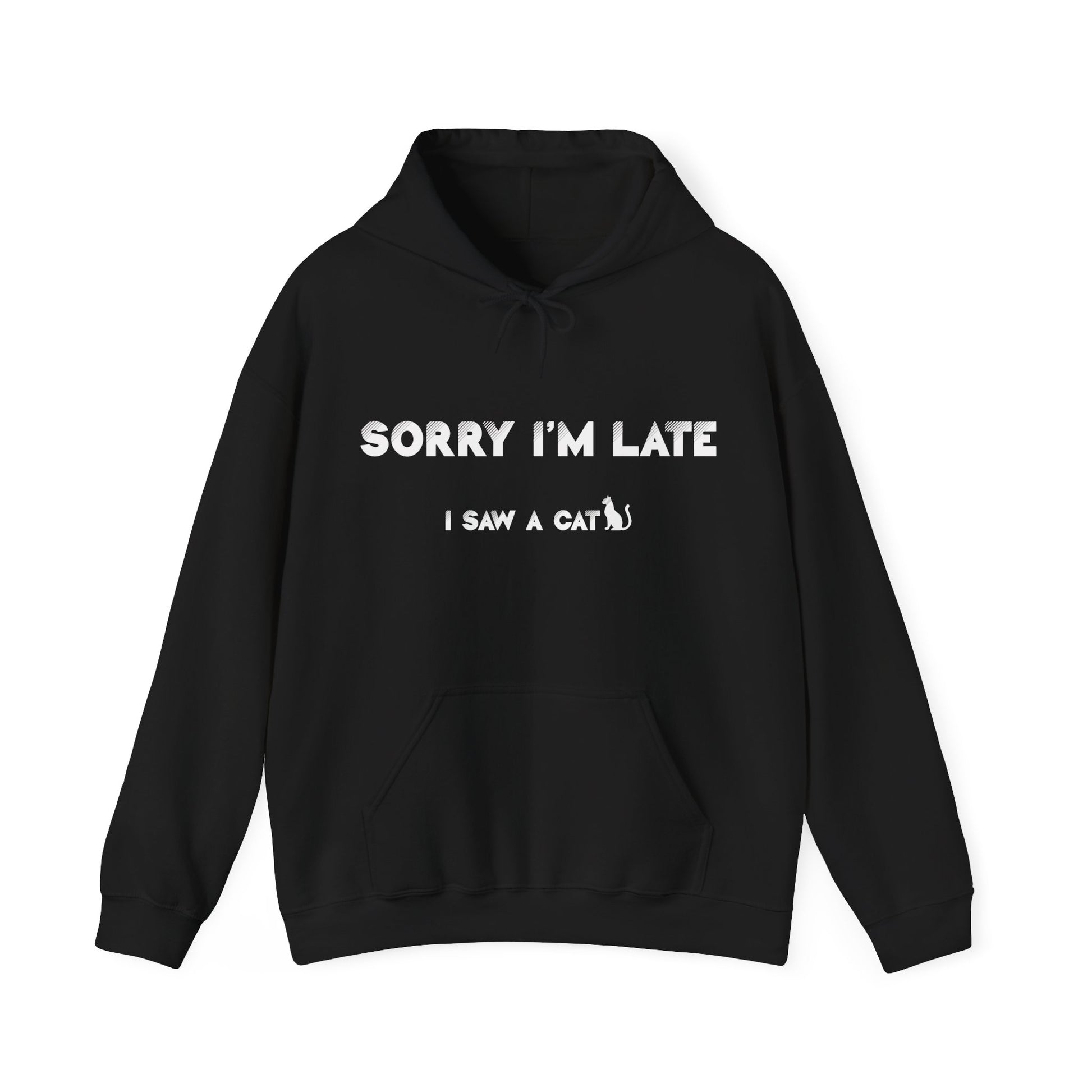 Black I Saw A Cat Hooded Sweatshirt Unisex  
