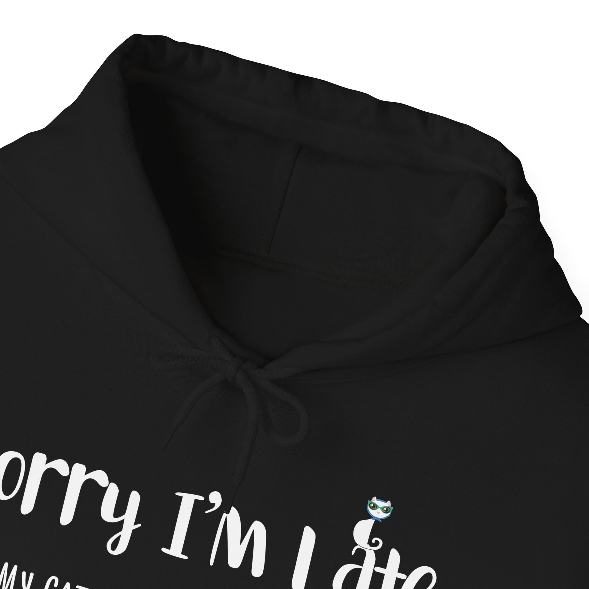 Black My_Cat_Was_Sitting_On_Me_Unisex_Hooded_Sweatshirt