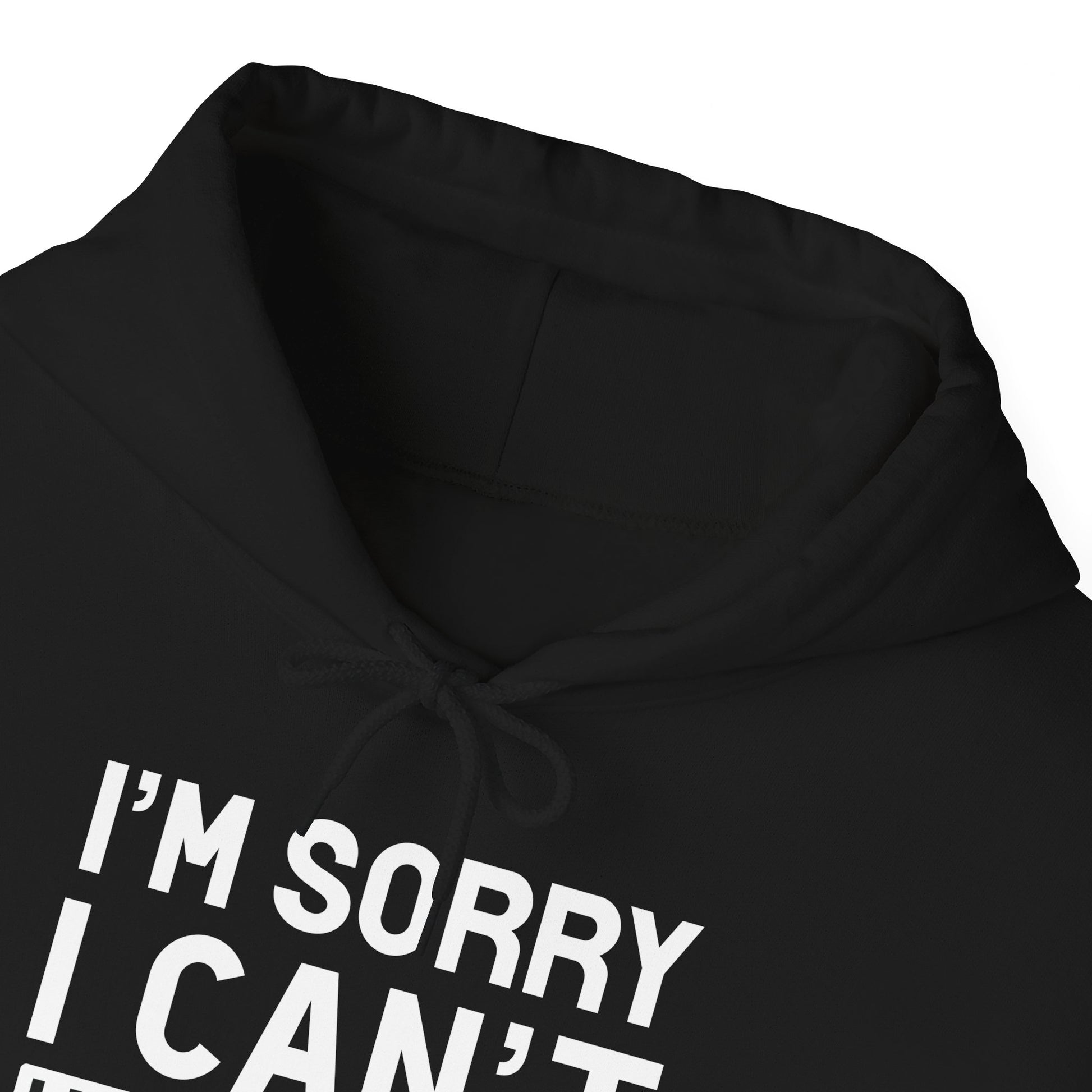 Black Plans With My Cat Hooded Sweatshirt Unisex