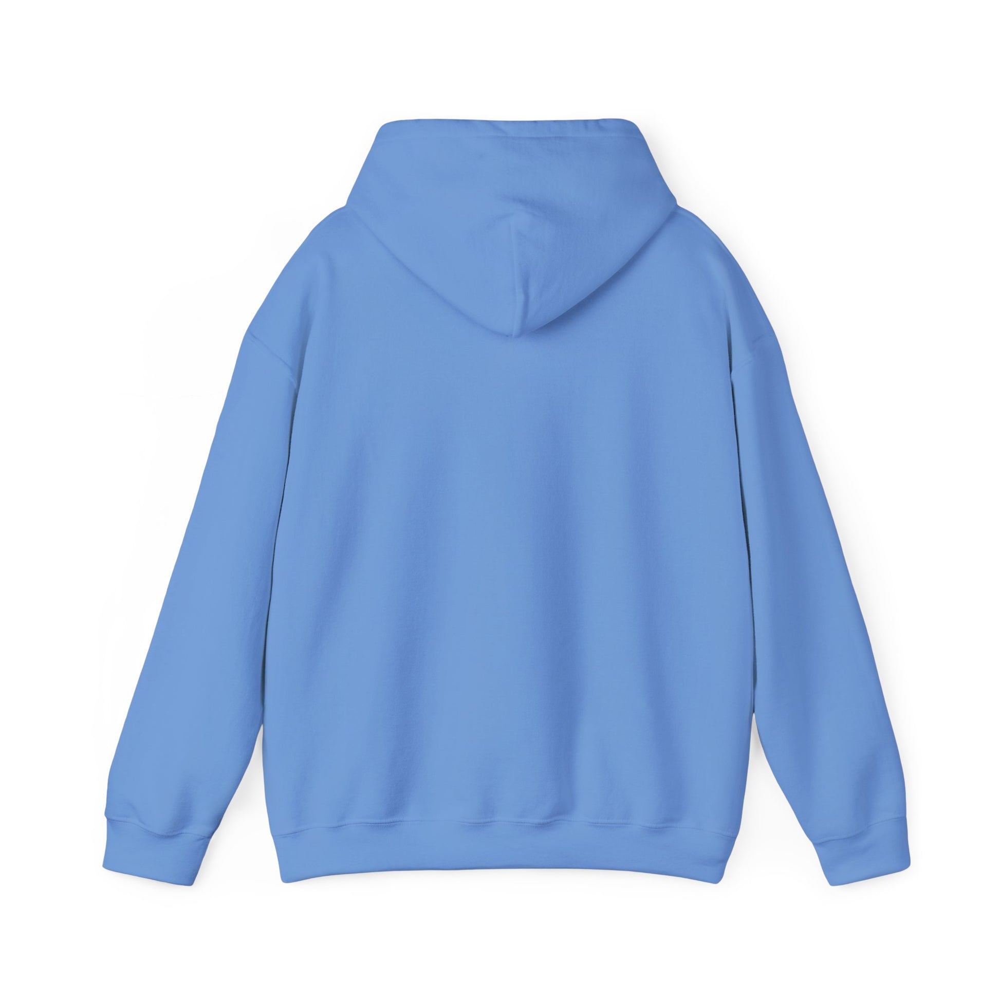 Carolina Blue My_Cat_Was_Sitting_On_Me_Unisex_Hooded_Sweatshirt