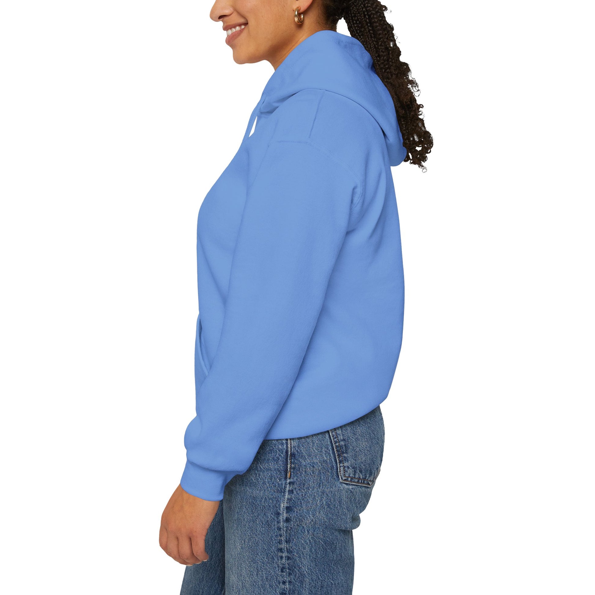 Carolina Blue Cat Addict_Maine Coon Feline Themed Hooded_Sweatshirt Unisex