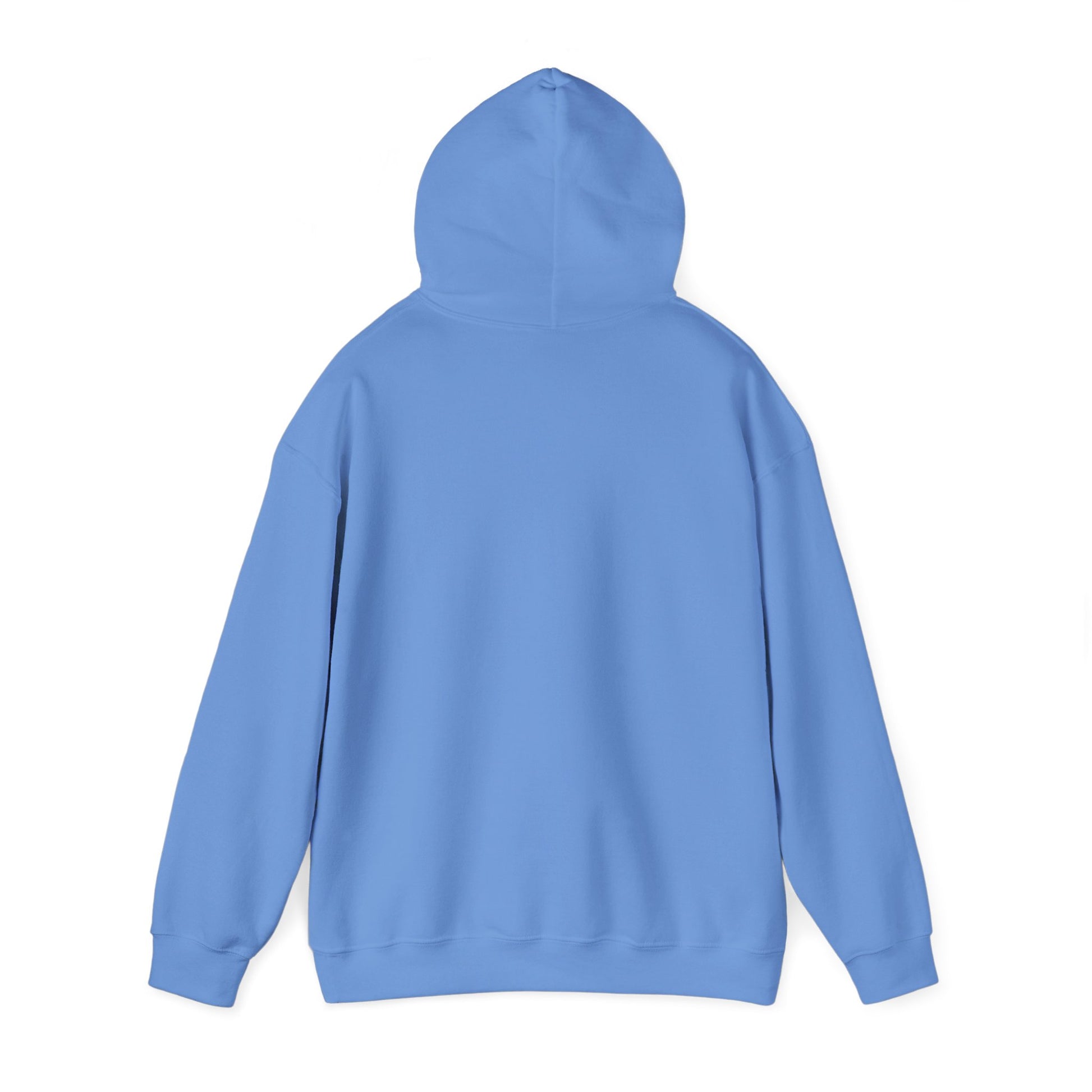 Carolina Blue Cat Addict_Maine Coon Feline Themed Hooded_Sweatshirt Unisex