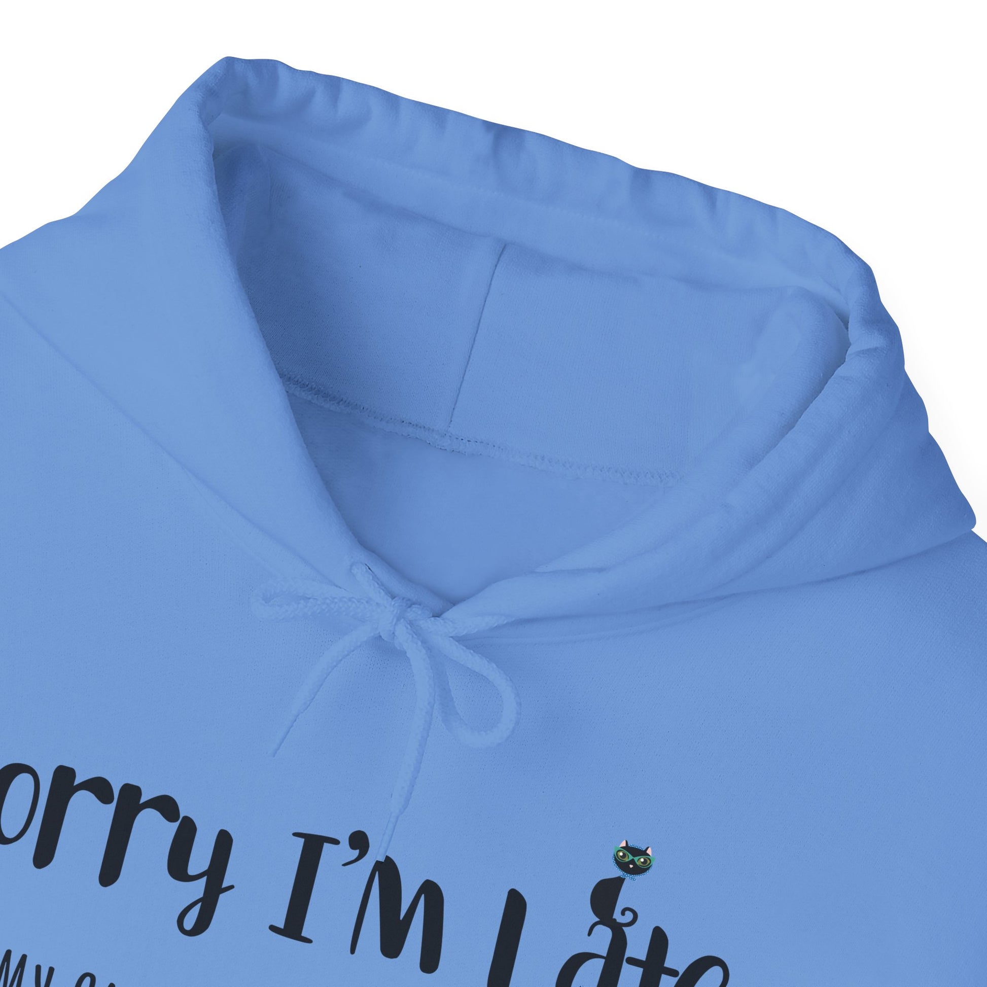 Carolina Blue My_Cat_Was_Sitting_On_Me_Unisex_Hooded_Sweatshirt