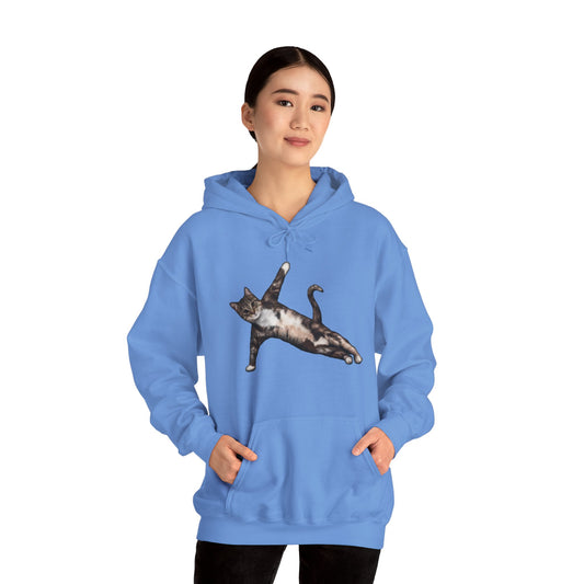 Carolina Blue Yoga Pose Cat Themed Hooded Sweater Unisex