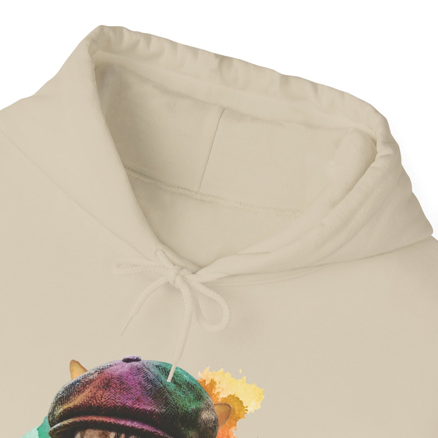 Sand Baker Boy Cat Themed Hooded Sweatshirt Unisex