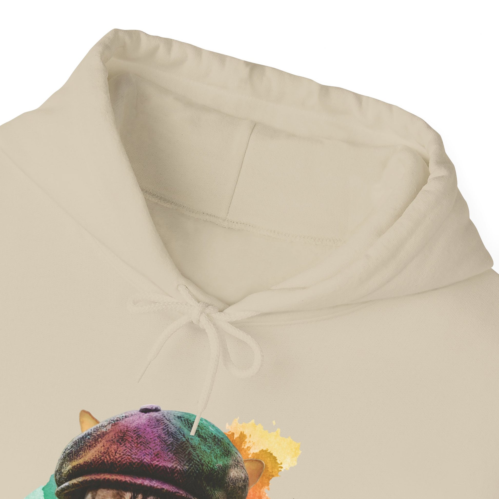 Sand Baker Boy Cat Themed Hooded Sweatshirt Unisex