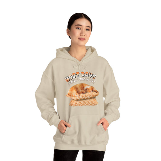 Sand Most Days Cat Themed Hooded Sweatshirt Unisex 