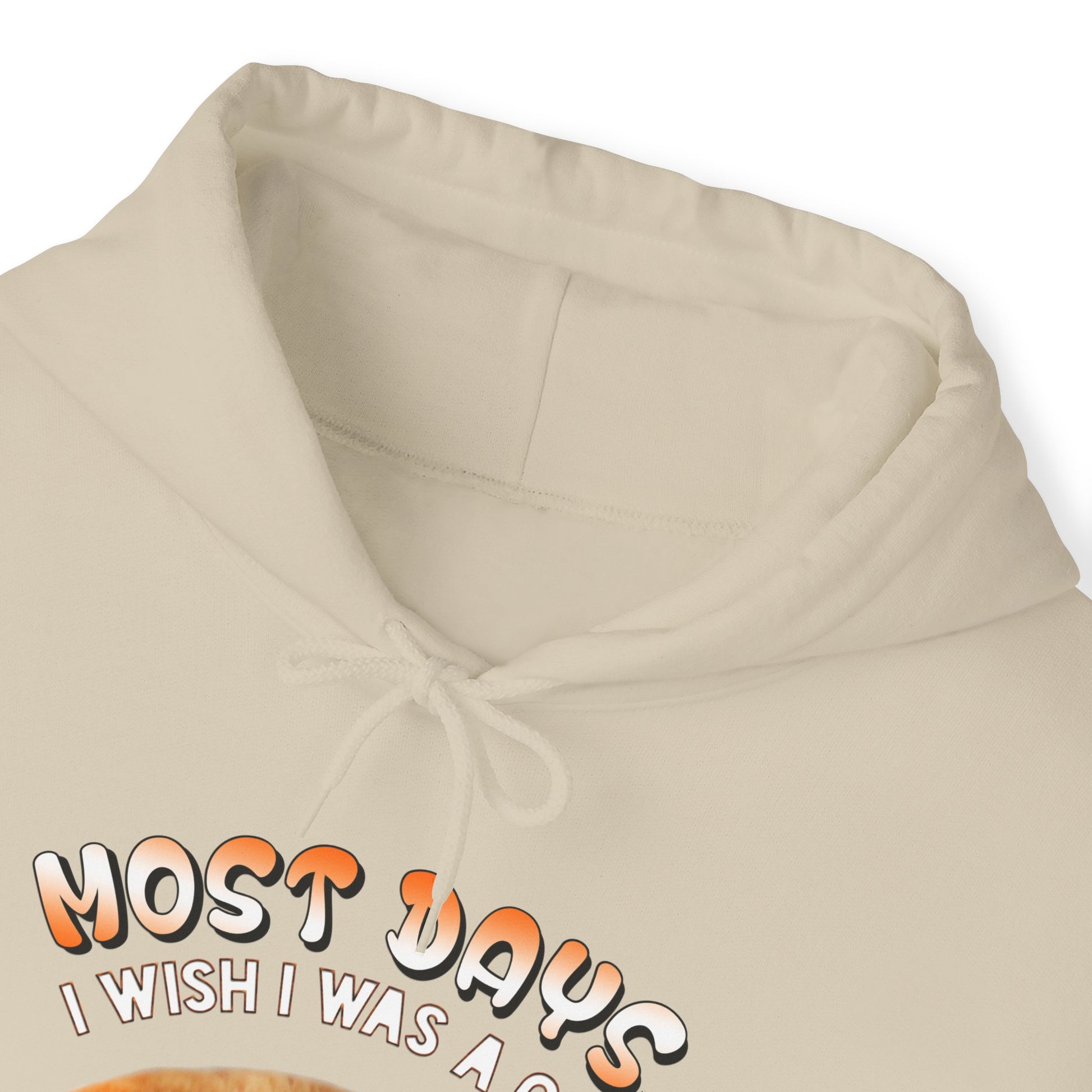 Sand Most Days Cat Themed Hooded Sweatshirt Unisex 