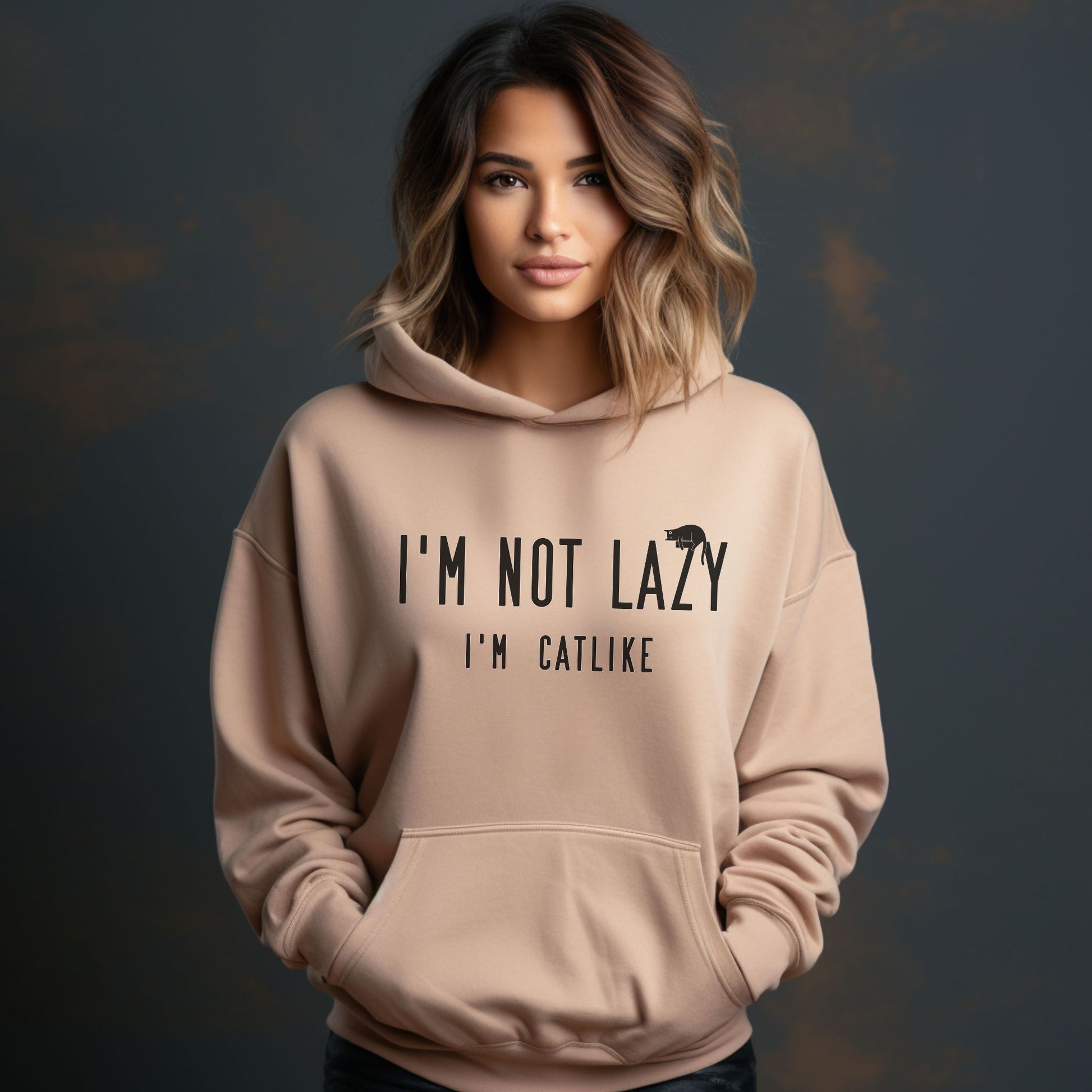 Sand Not Lazy Cat Themed Hooded Sweatshirt Unisex