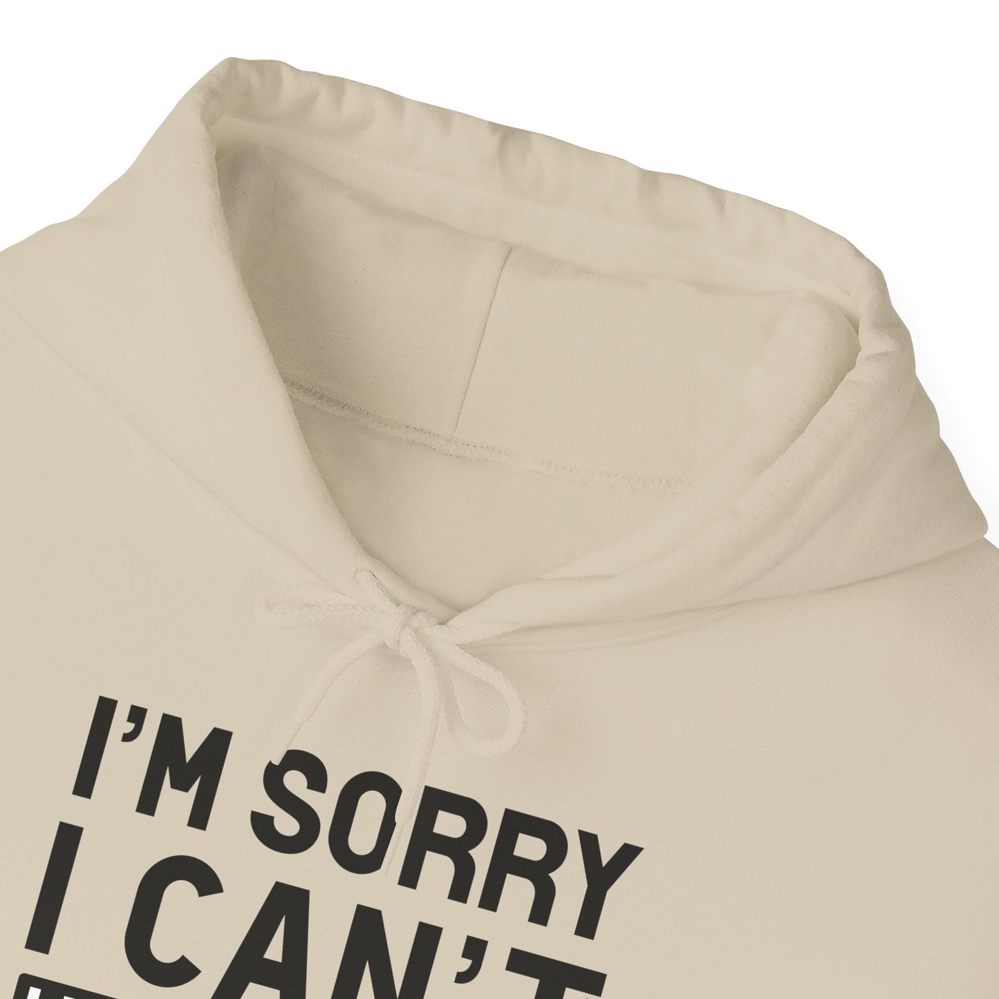 Sand Plans With My Cat Hooded Sweatshirt Unisex