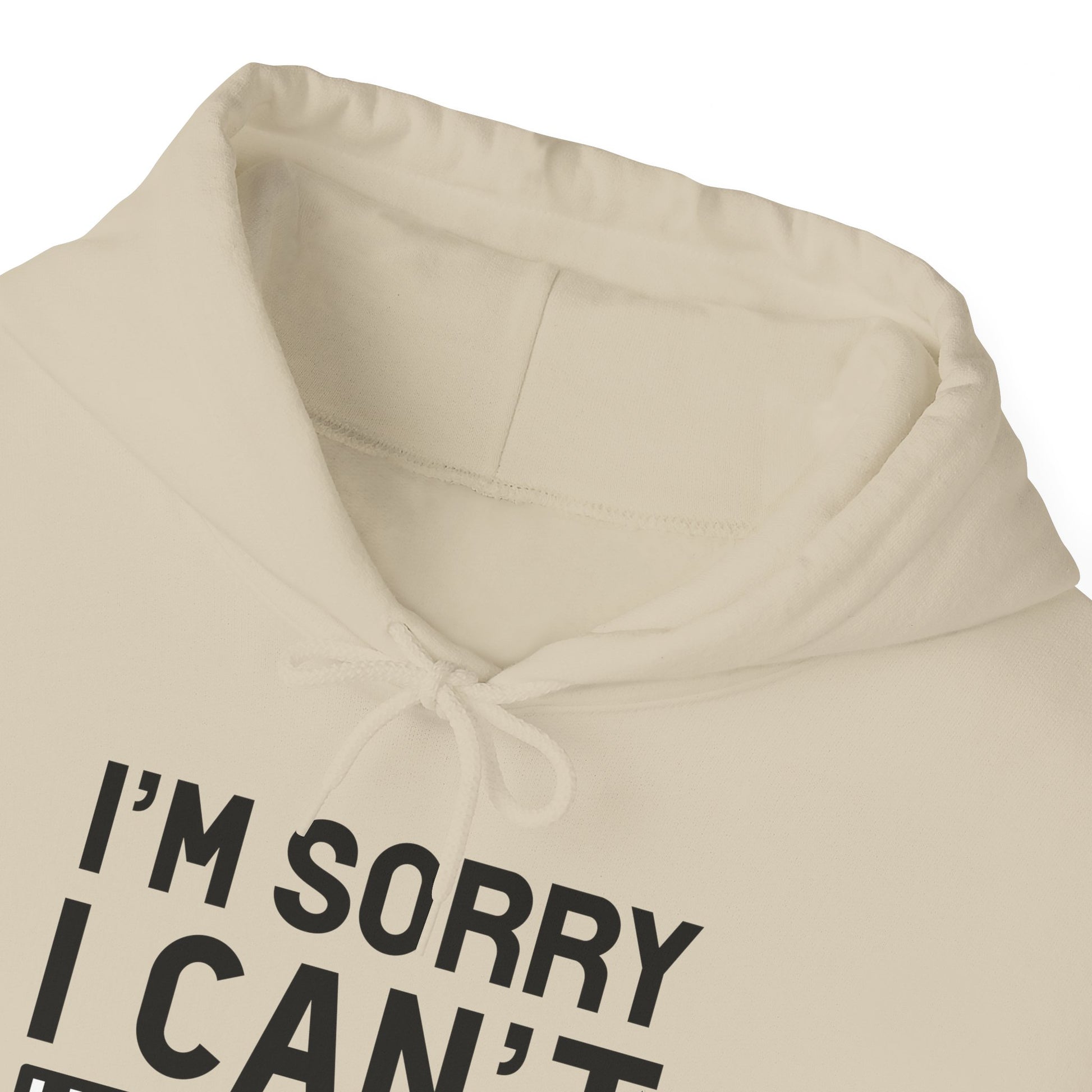 Sand Plans With My Cat Hooded Sweatshirt Unisex