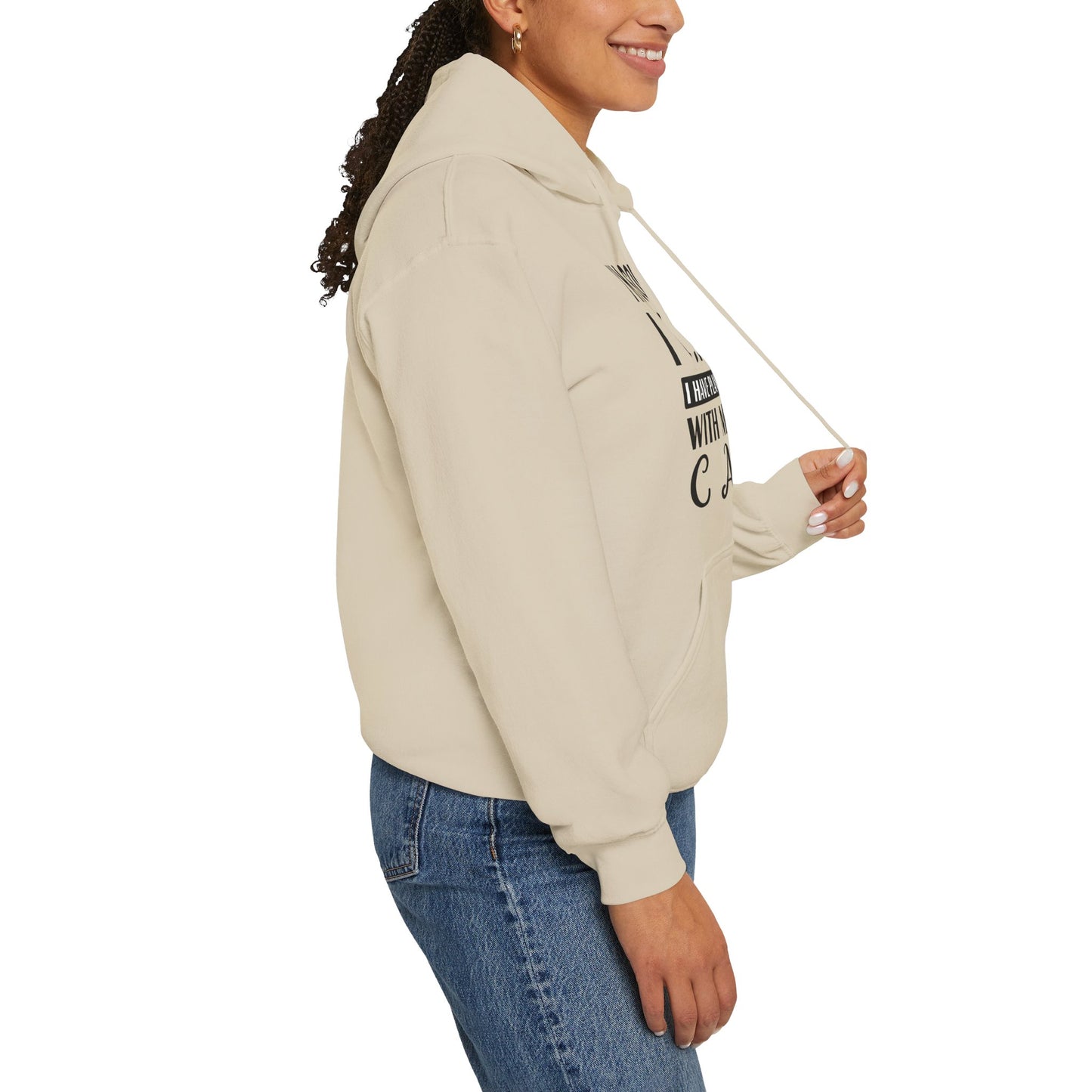 Sand Plans With My Cat Hooded Sweatshirt Unisex