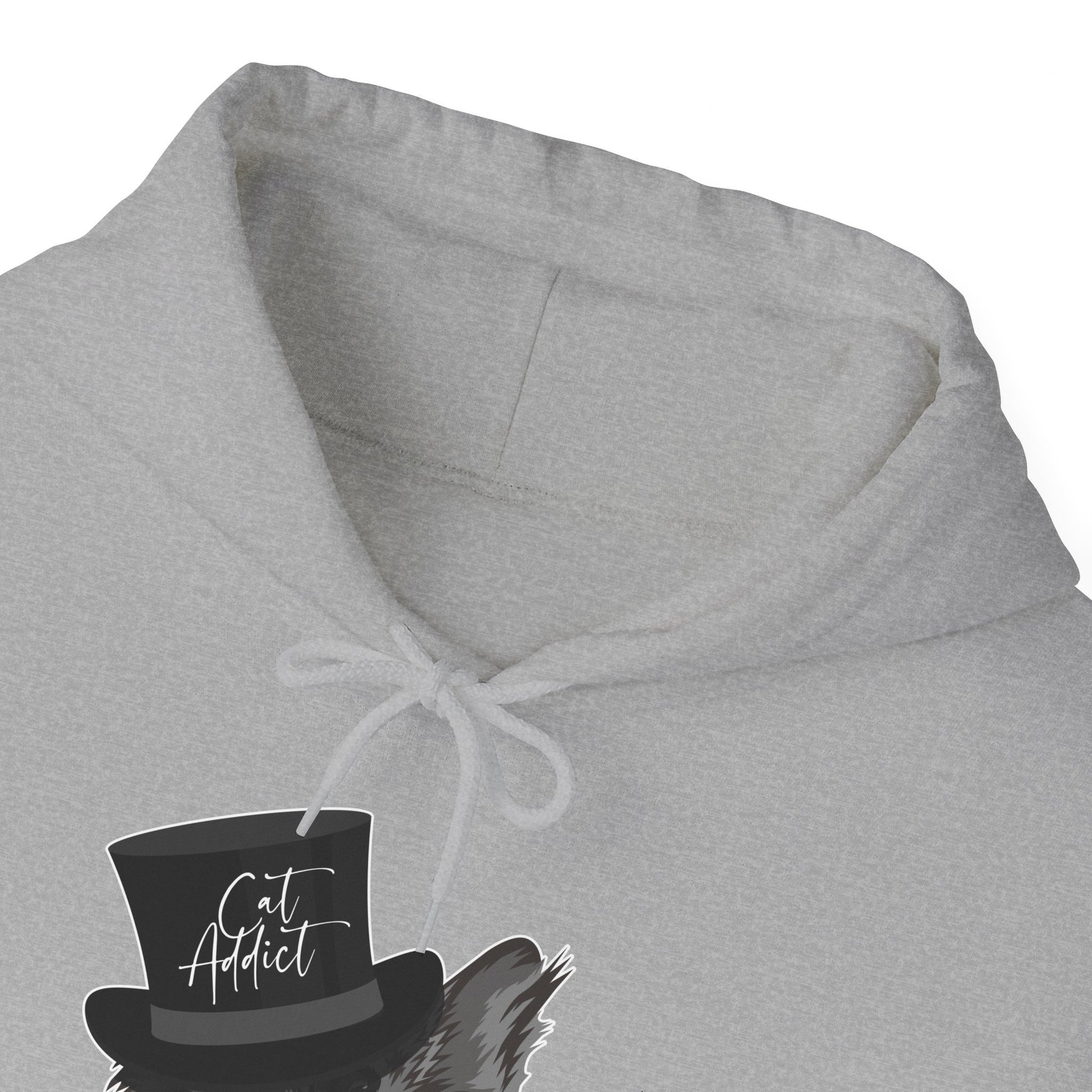 Oyster Cat Addict_Maine Coon Feline Themed Hooded_Sweatshirt Unisex
