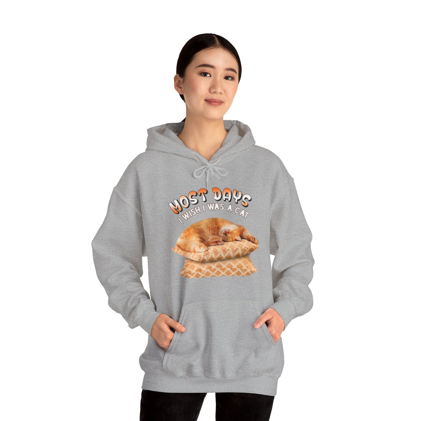 Oyster Most Days Cat Themed Hooded Sweatshirt Unisex 