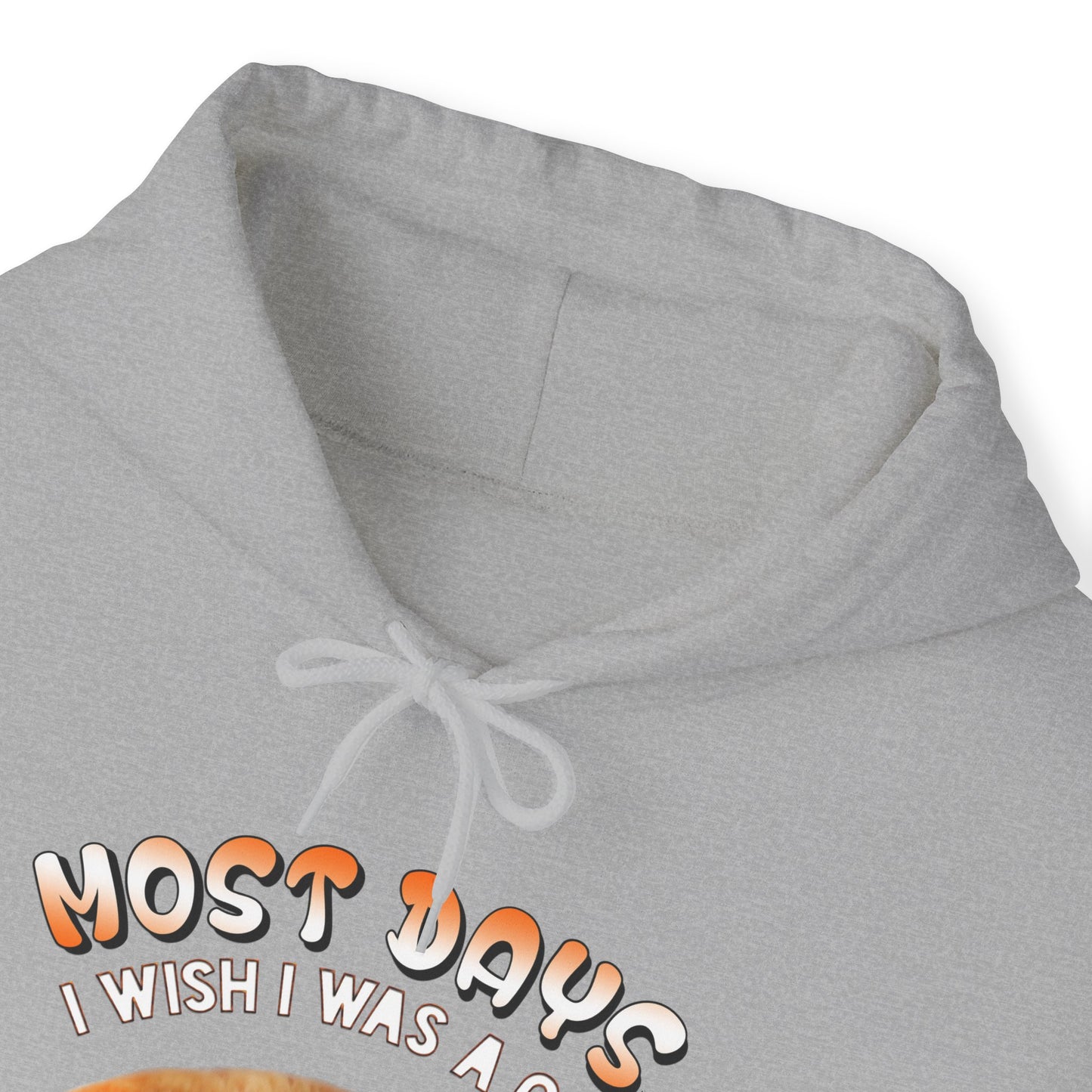 Oyster Most Days Cat Themed Hooded Sweatshirt Unisex 