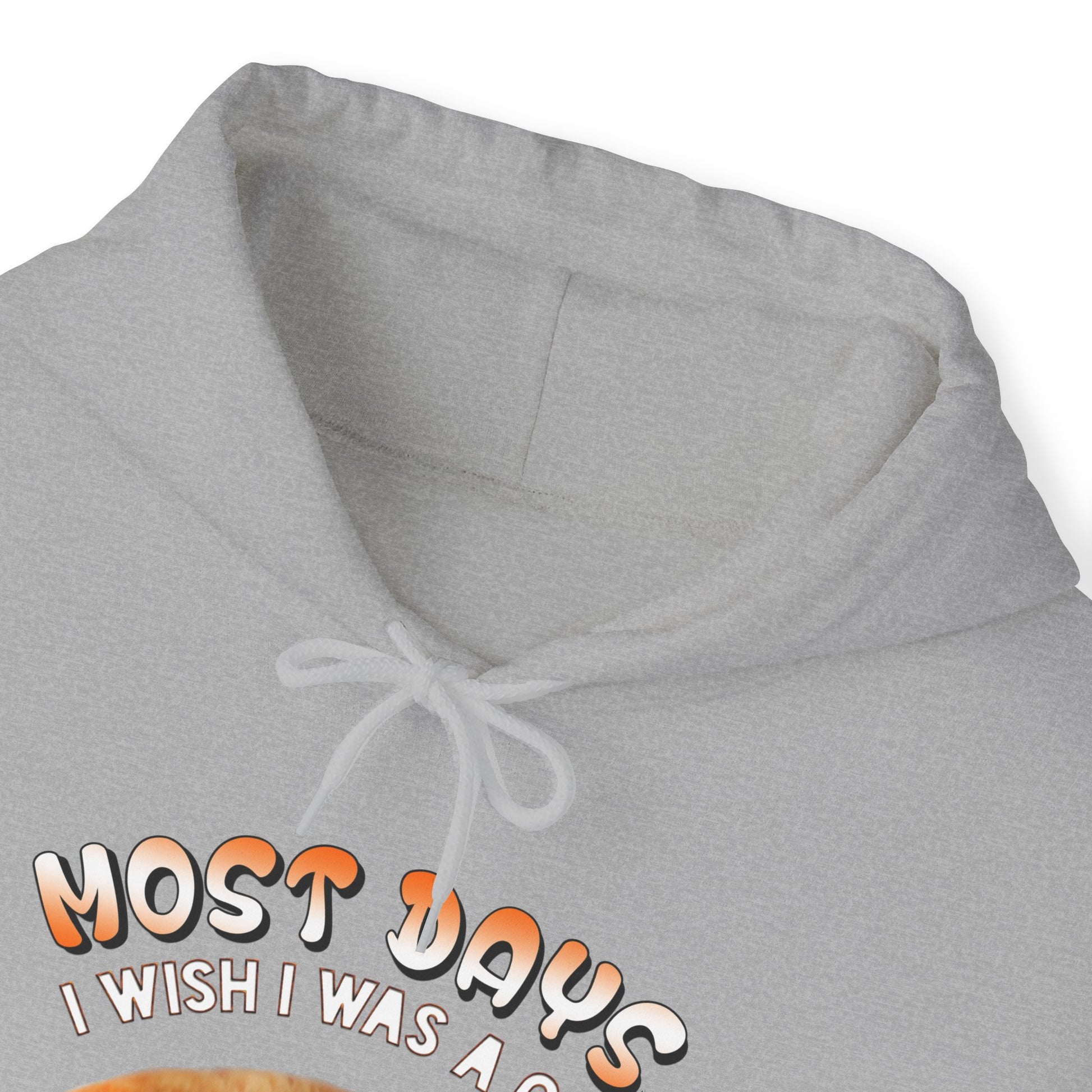 Oyster Most Days Cat Themed Hooded Sweatshirt Unisex 