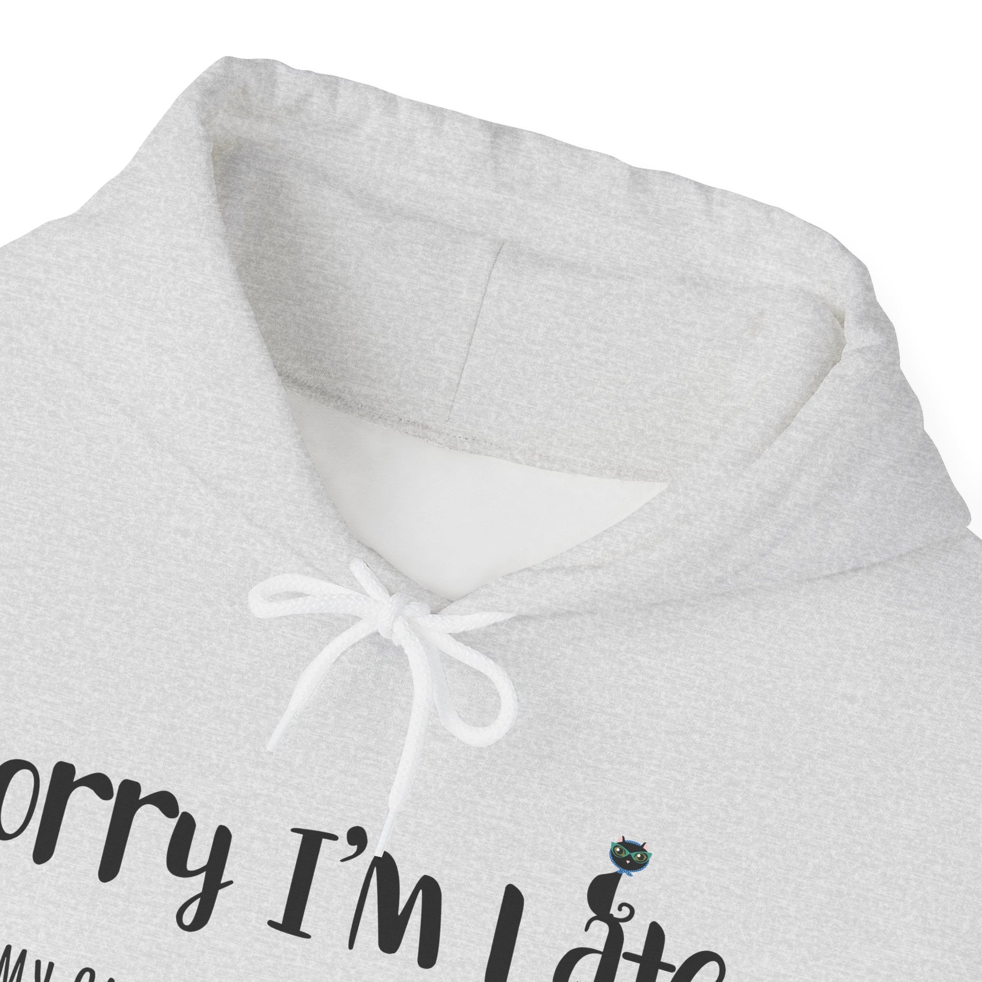 Ash My_Cat_Was_Sitting_On_Me_Unisex_Hooded_Sweatshirt