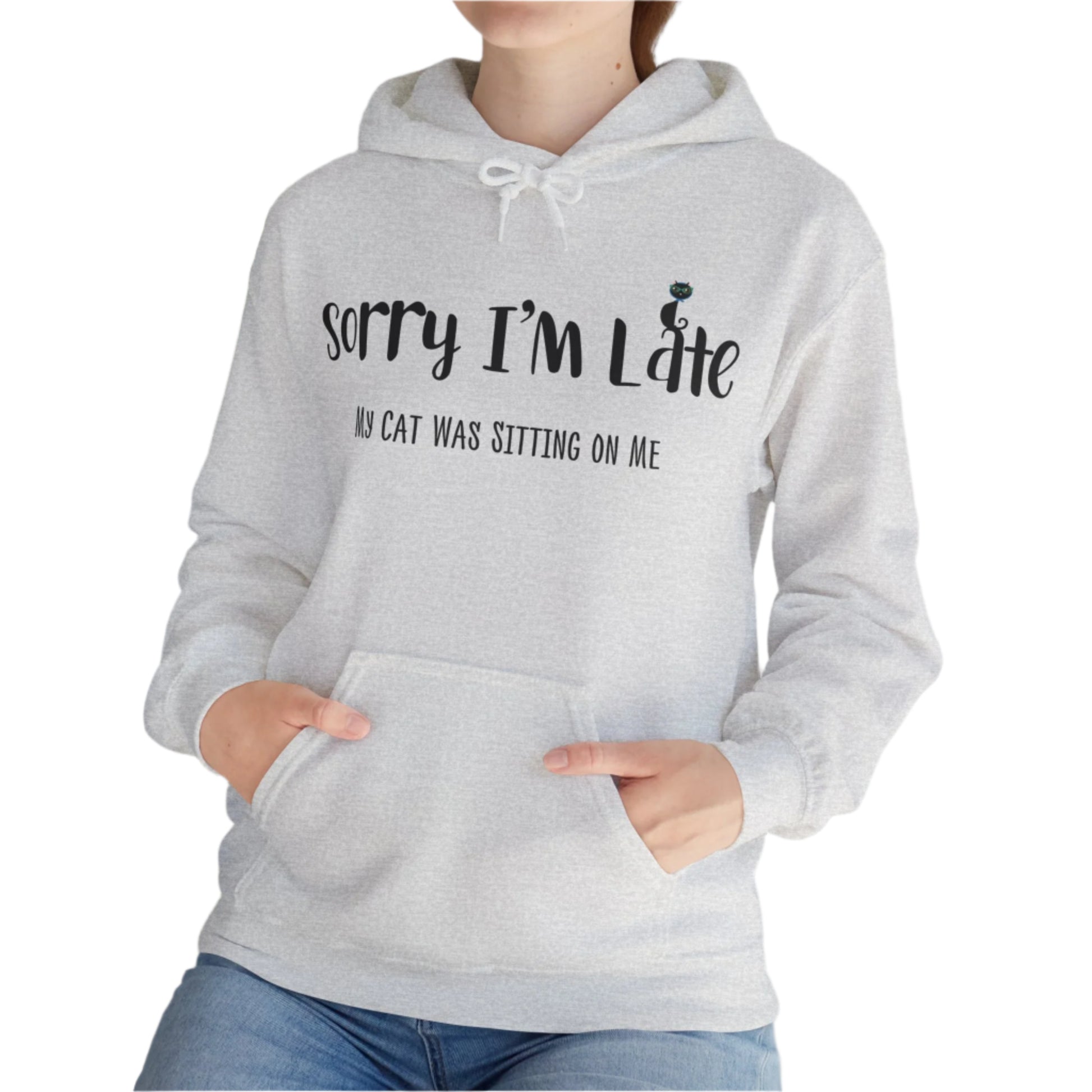 Ash My_Cat_Was_Sitting_On_Me_Unisex_Hooded_Sweatshirt