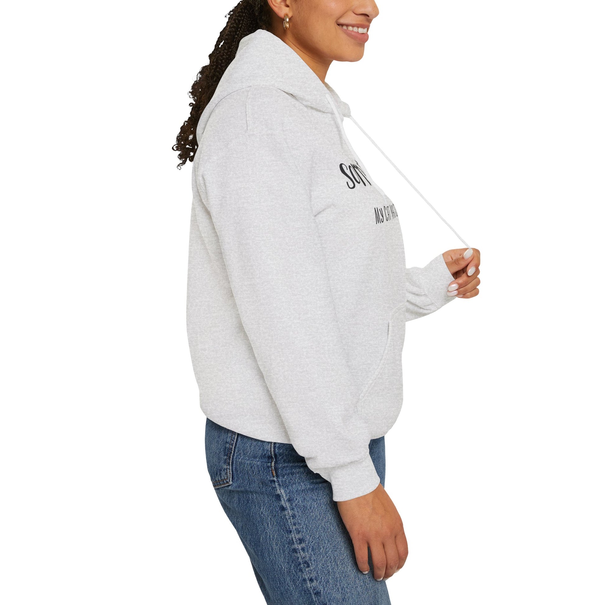Ash My_Cat_Was_Sitting_On_Me_Unisex_Hooded_Sweatshirt