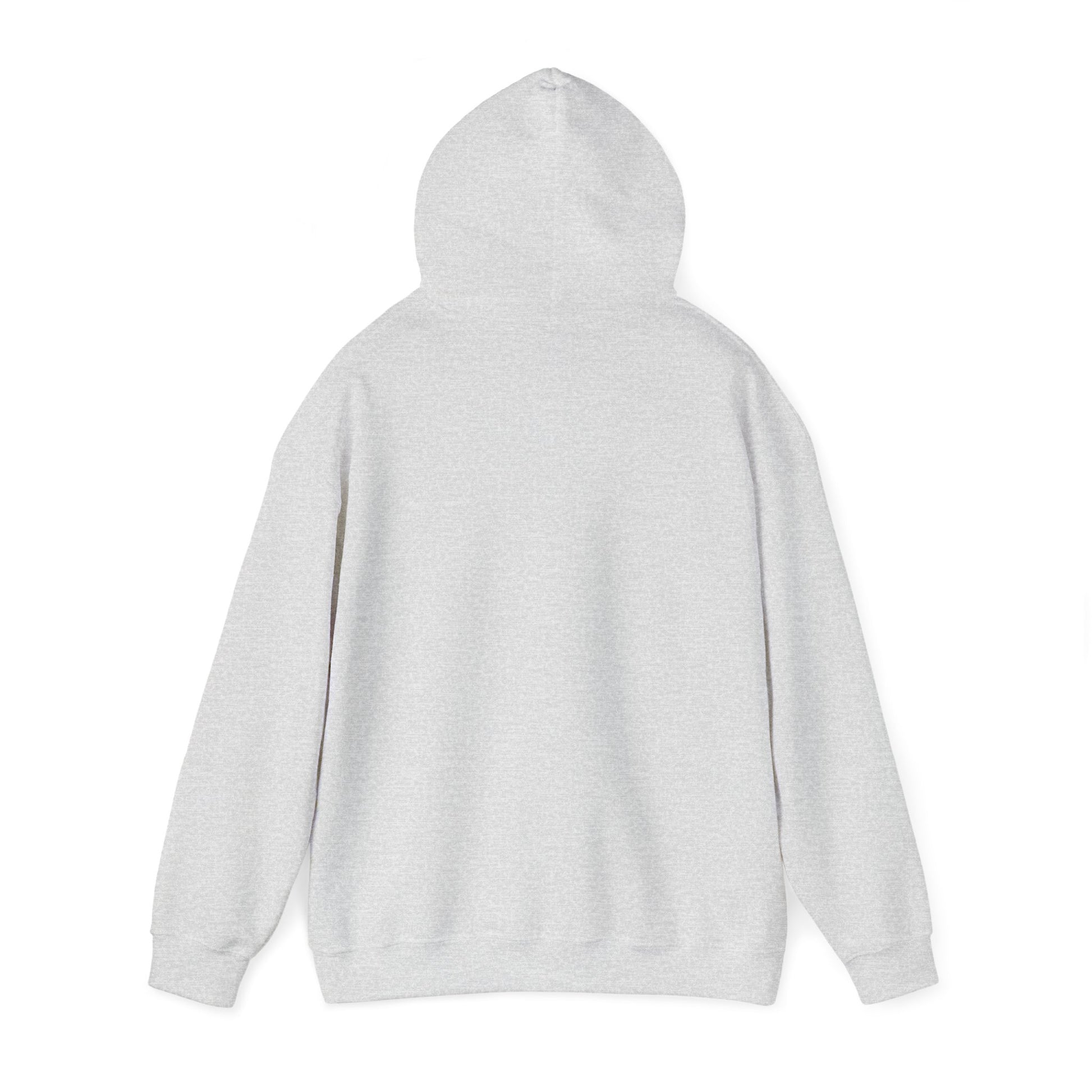 Ash My_Cat_Was_Sitting_On_Me_Unisex_Hooded_Sweatshirt