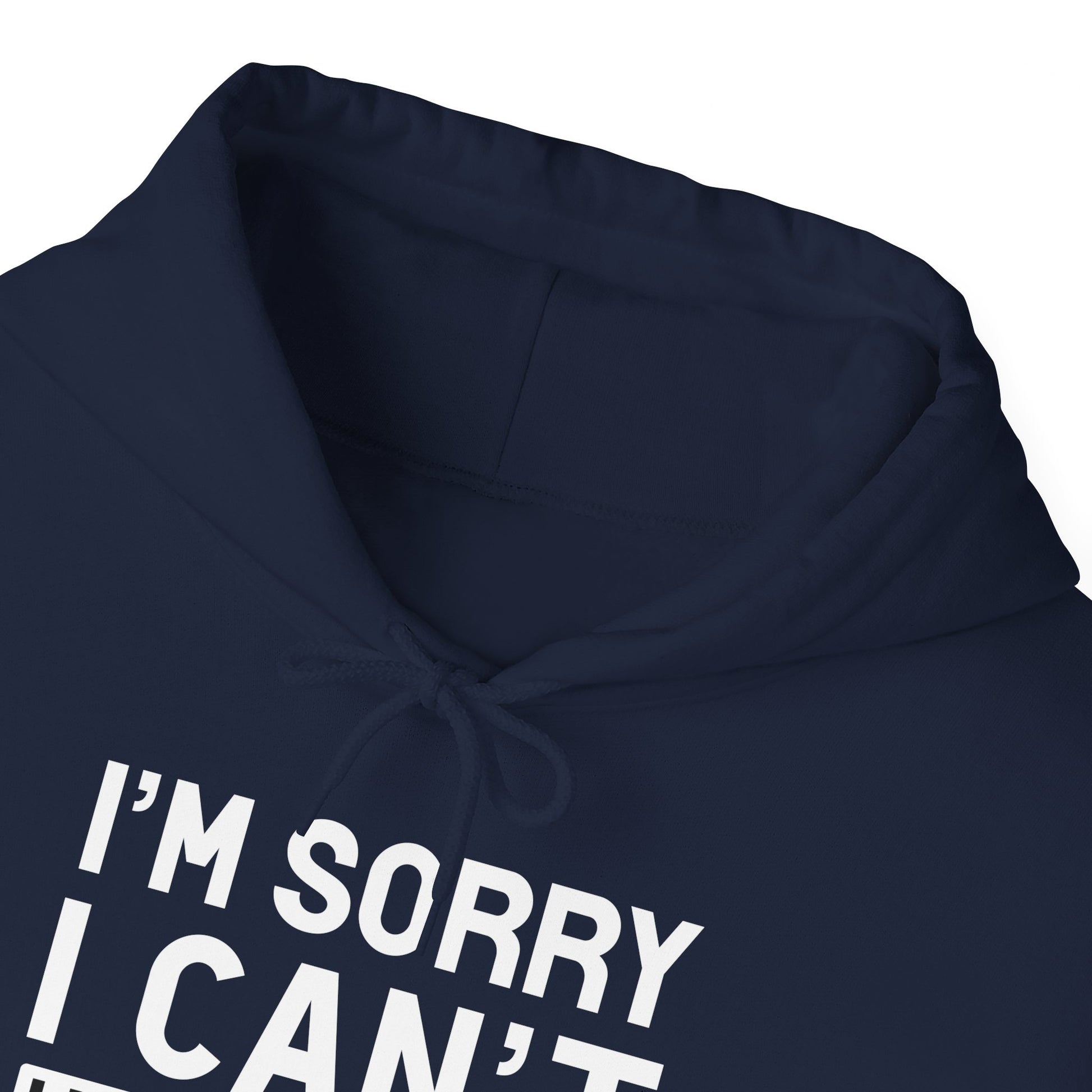 Navy Plans With My Cat Hooded Sweatshirt Unisex
