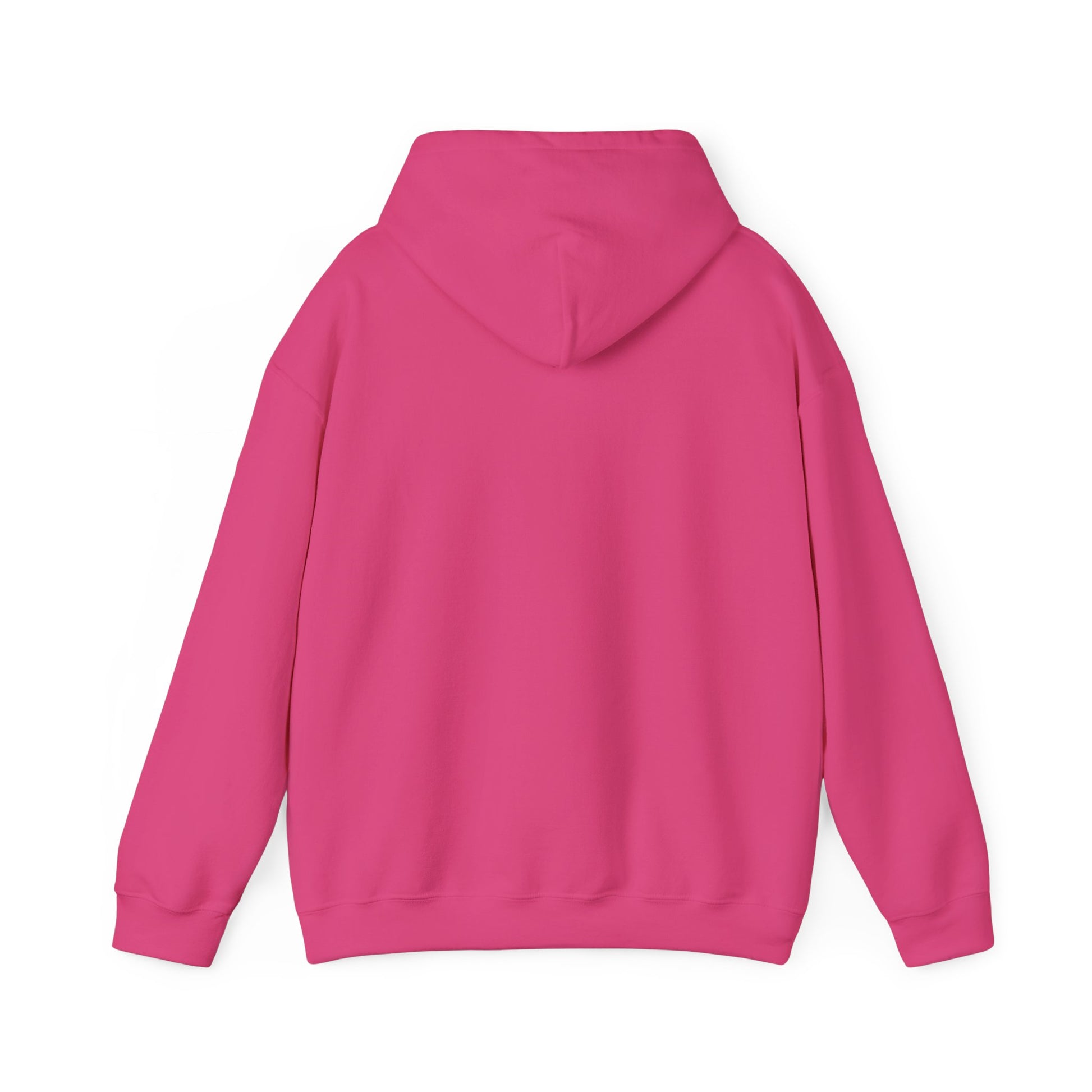 Hot Pink I Saw A Cat Hooded Sweatshirt Unisex