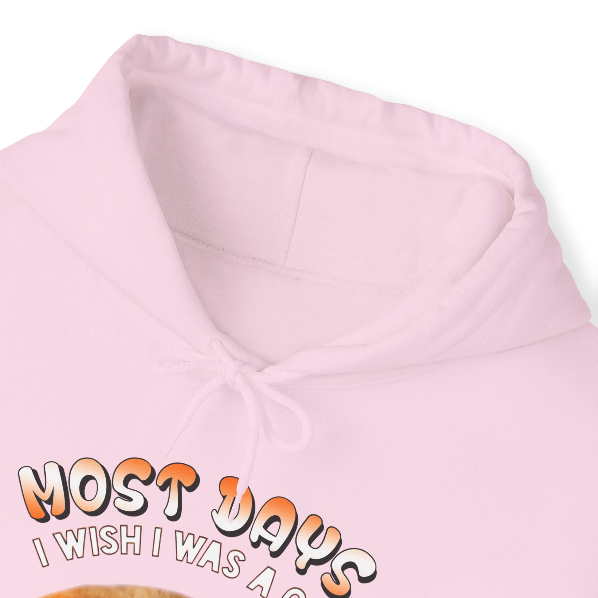 Pale Pink Most Days Cat Themed Hooded Sweatshirt Unisex 