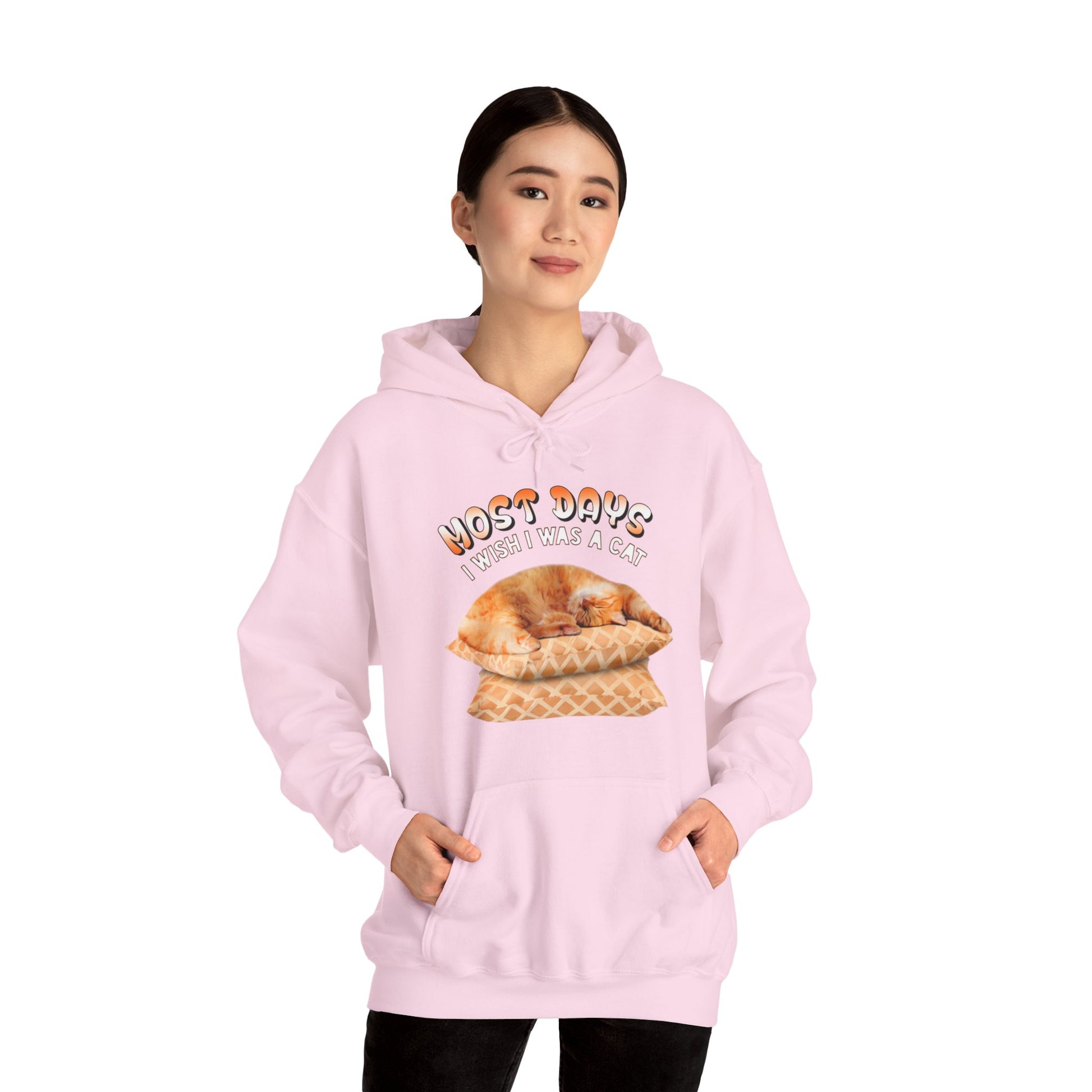 Pale Pink Most Days Cat Themed Hooded Sweatshirt Unisex 