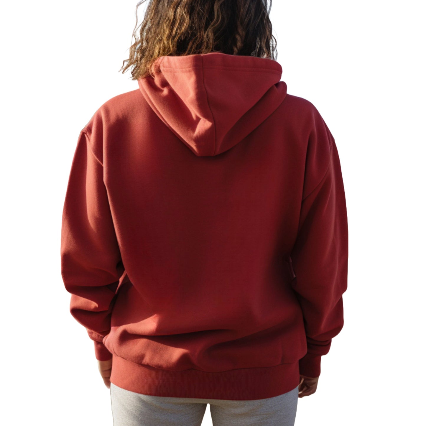 Red Buzz Off Cat Themed Hooded Sweatshirt Unisex