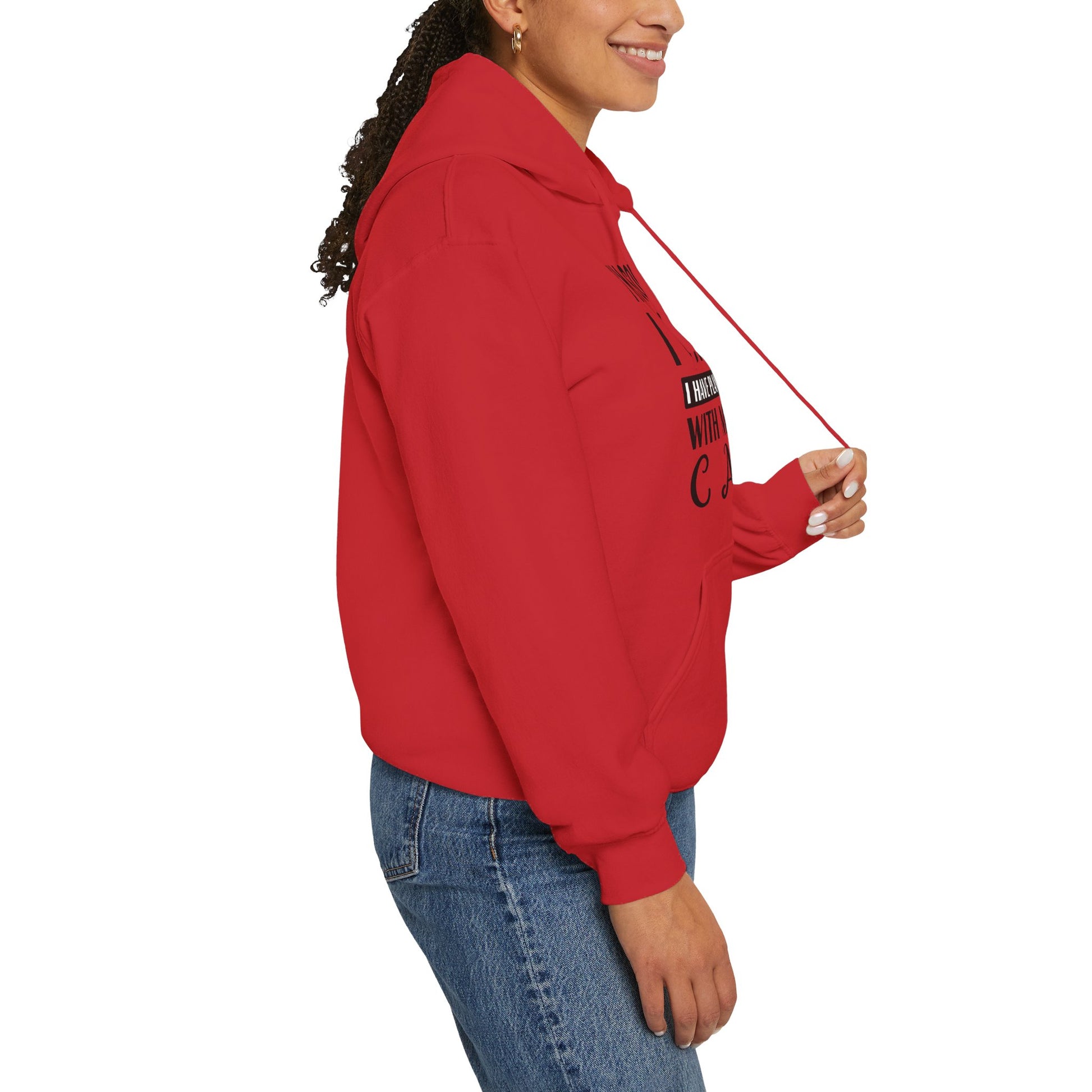 Red Plans With My Cat Hooded Sweatshirt Unisex
