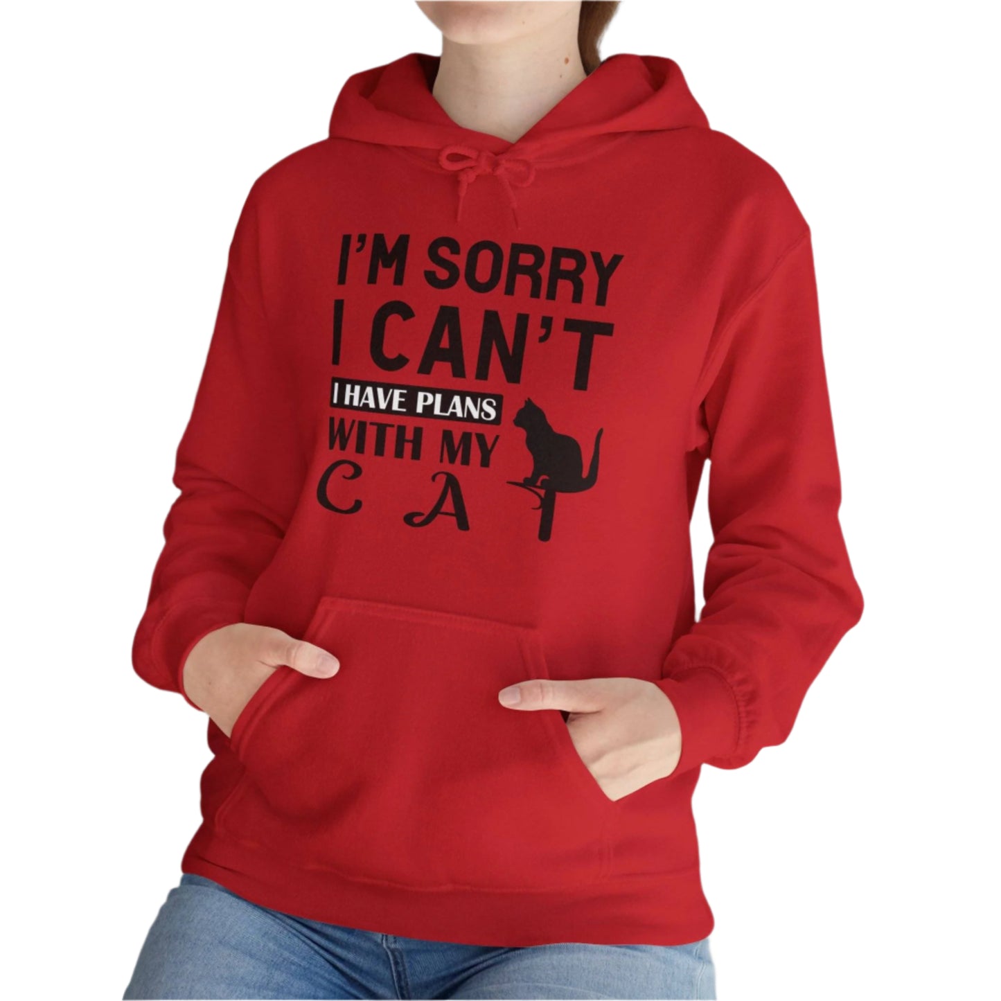 Red Plans With My Cat Hooded Sweatshirt Unisex