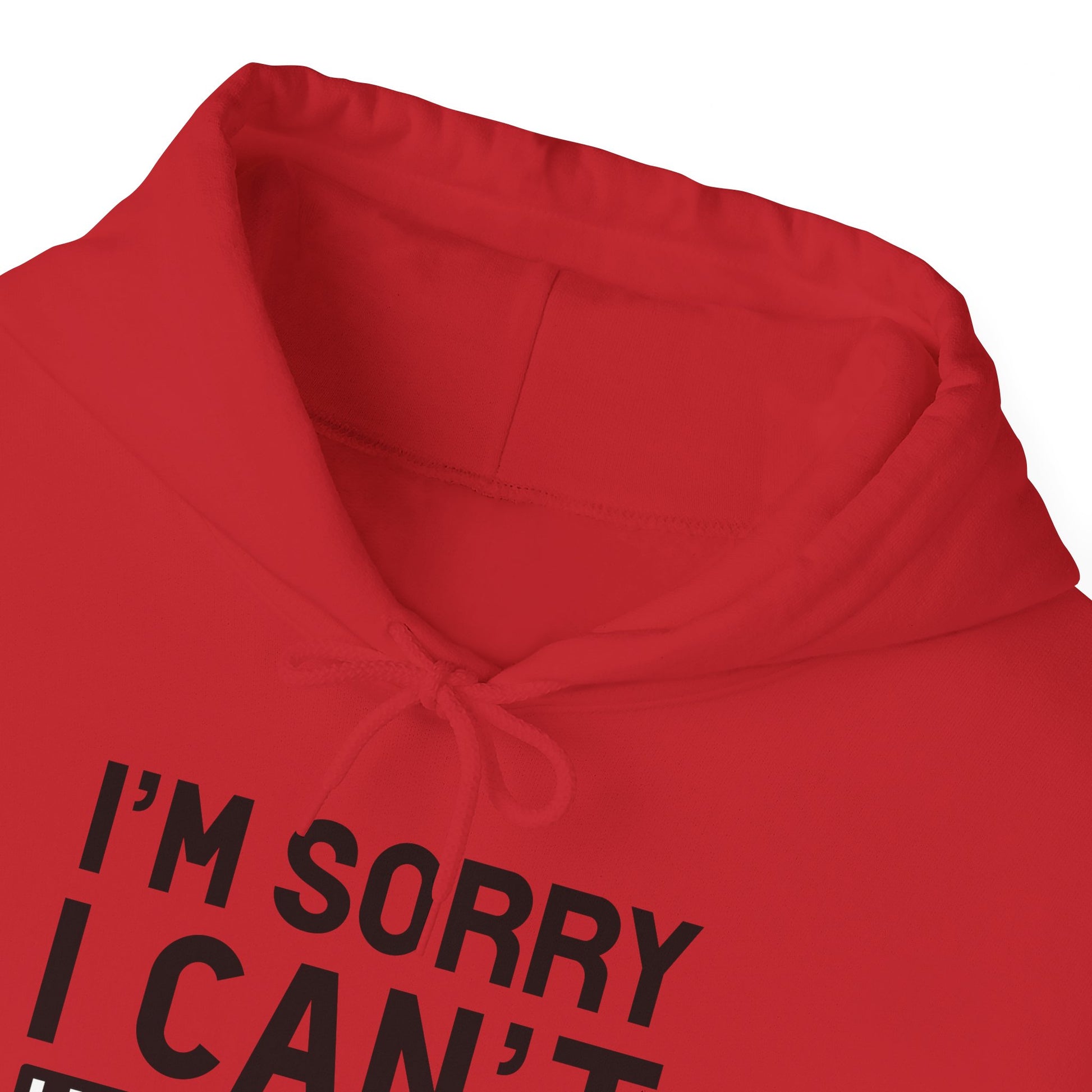 Red Plans With My Cat Hooded Sweatshirt Unisex