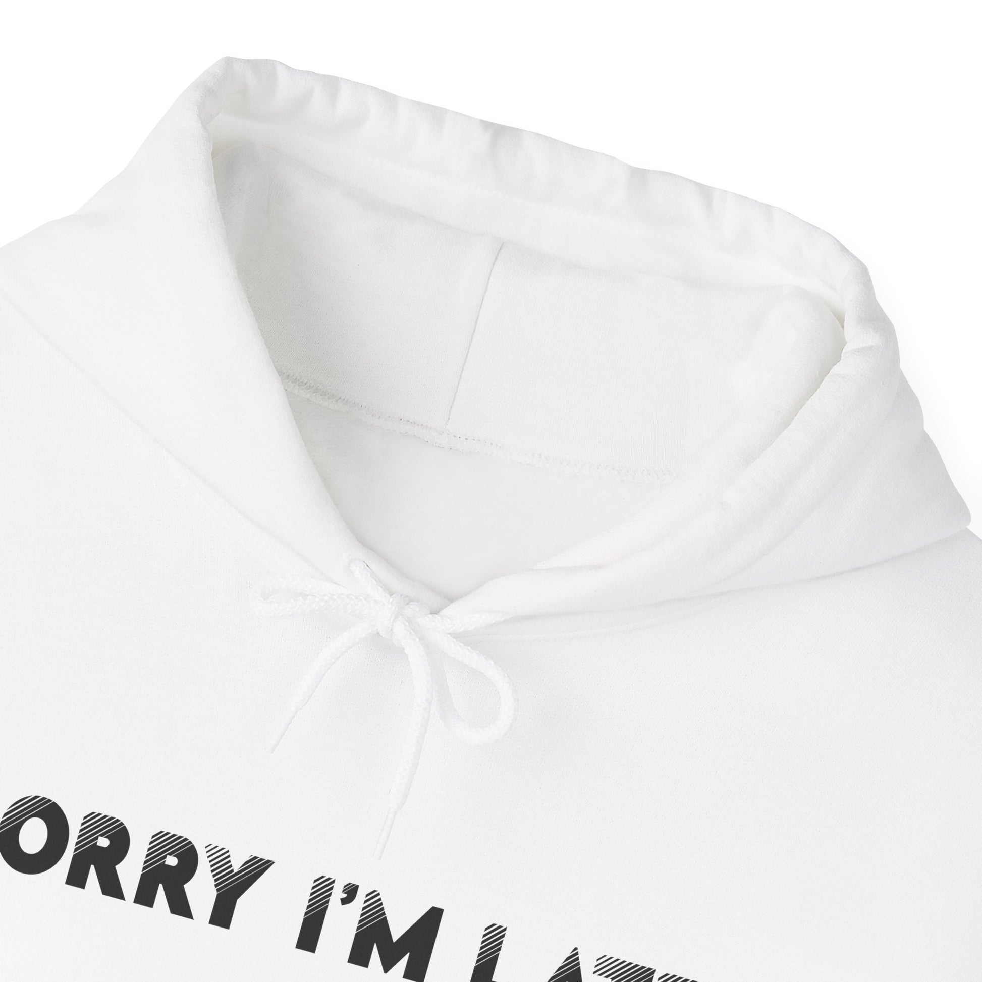 White I Saw A Cat Hooded Sweatshirt  Unisex